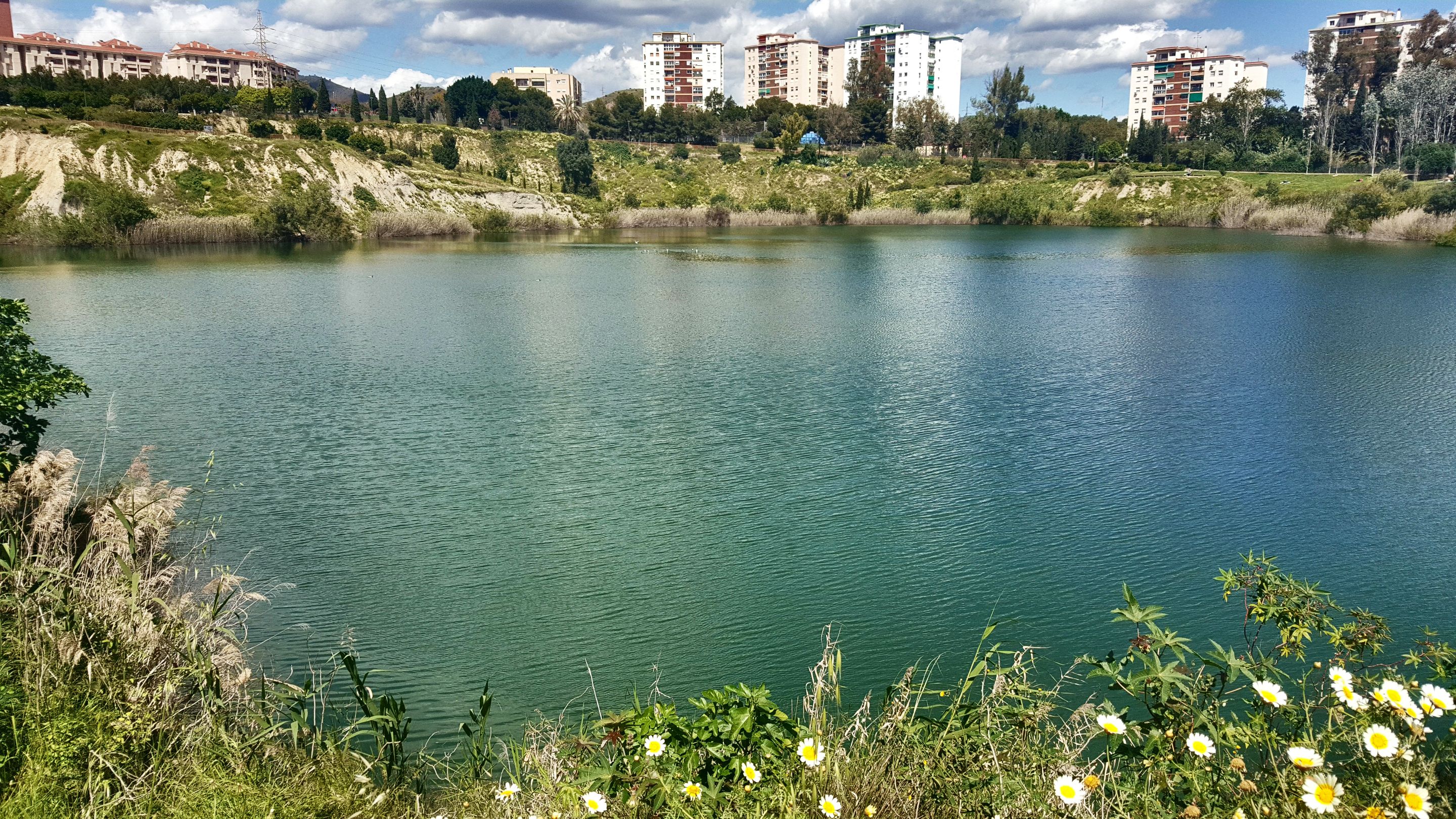 20250416_154826.jpg
