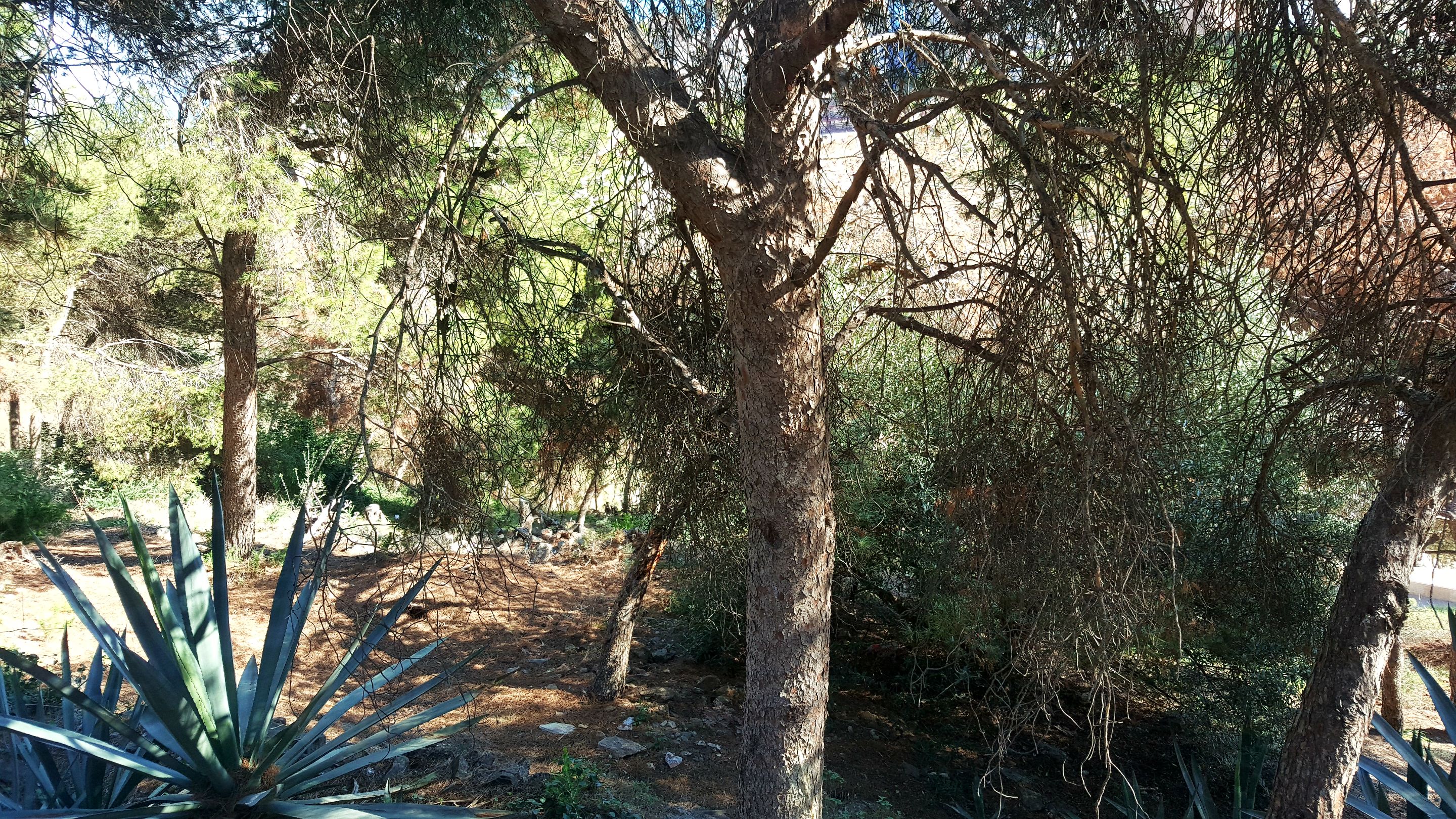 20241112_153857.jpg