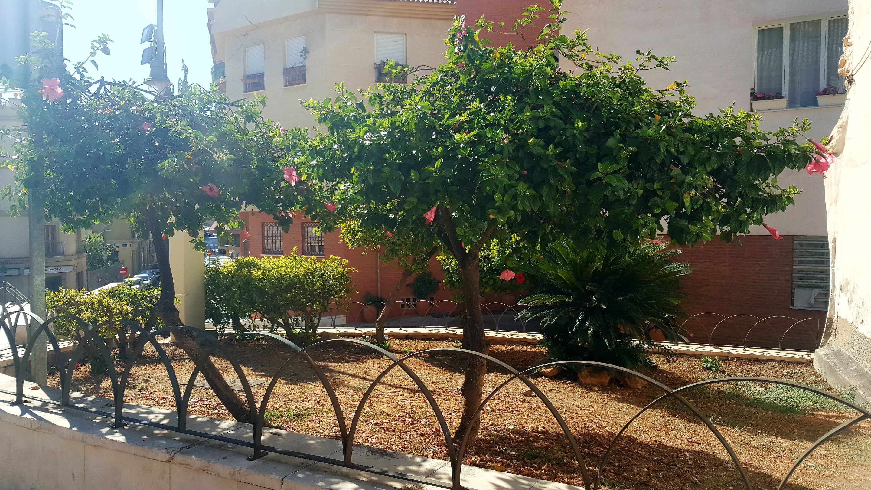 20230927_163859.jpg