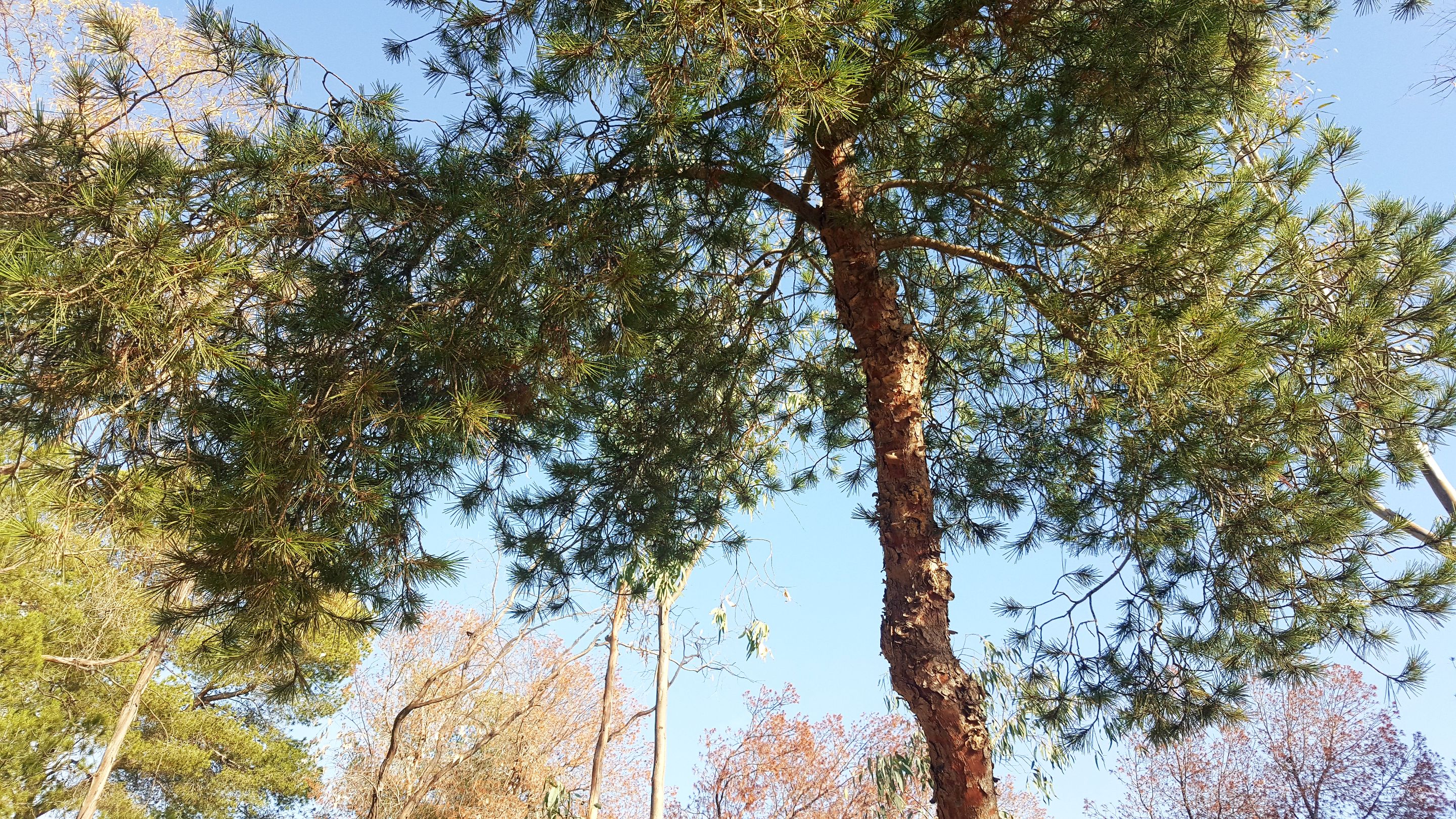 20241127_160947.jpg