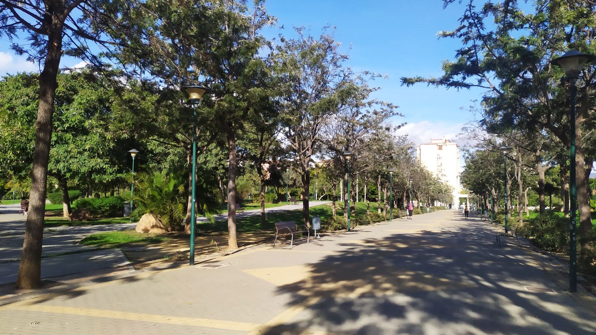 IMG-20201211-WA0016.jpg