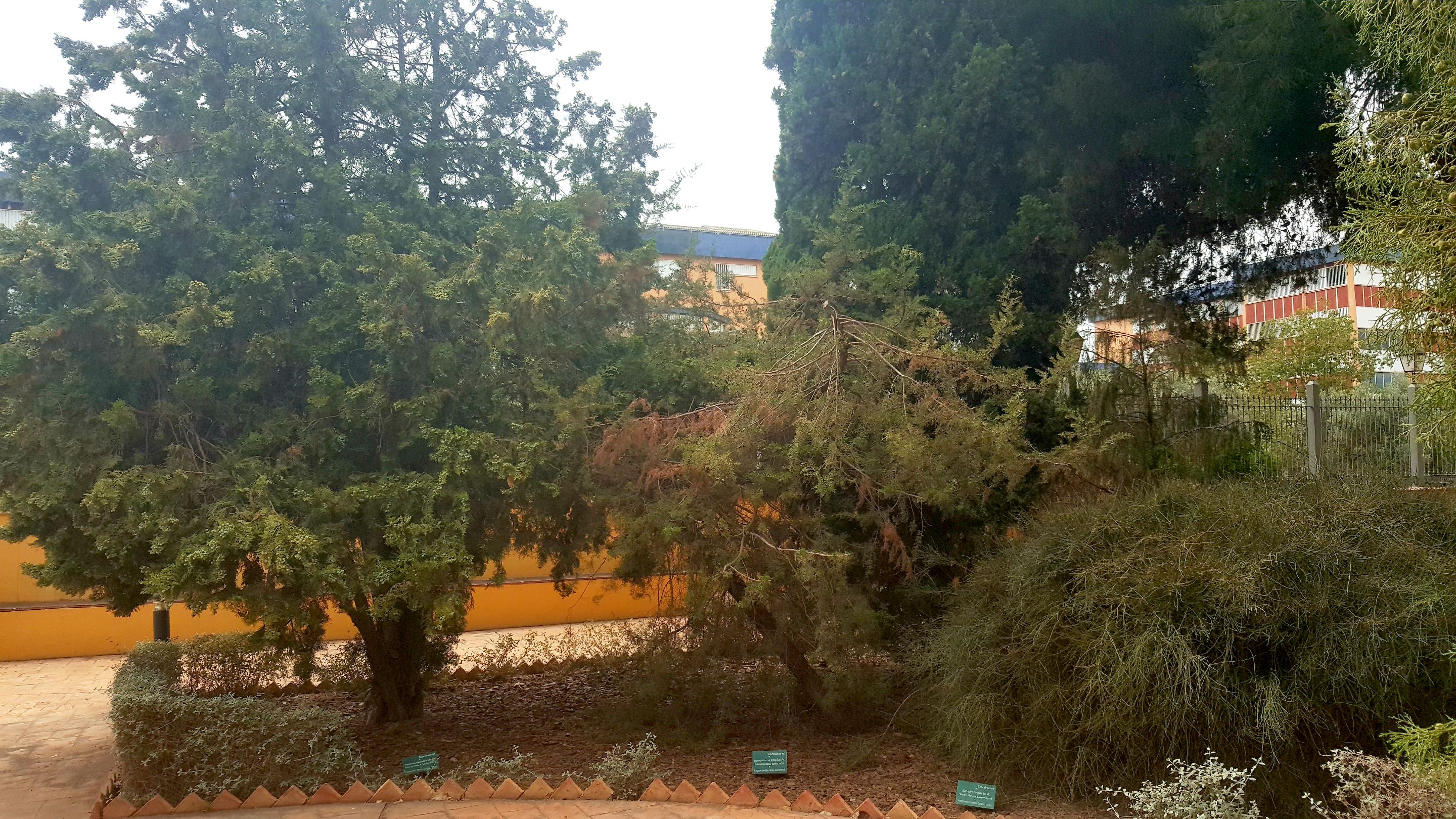 20250610_162127.jpg