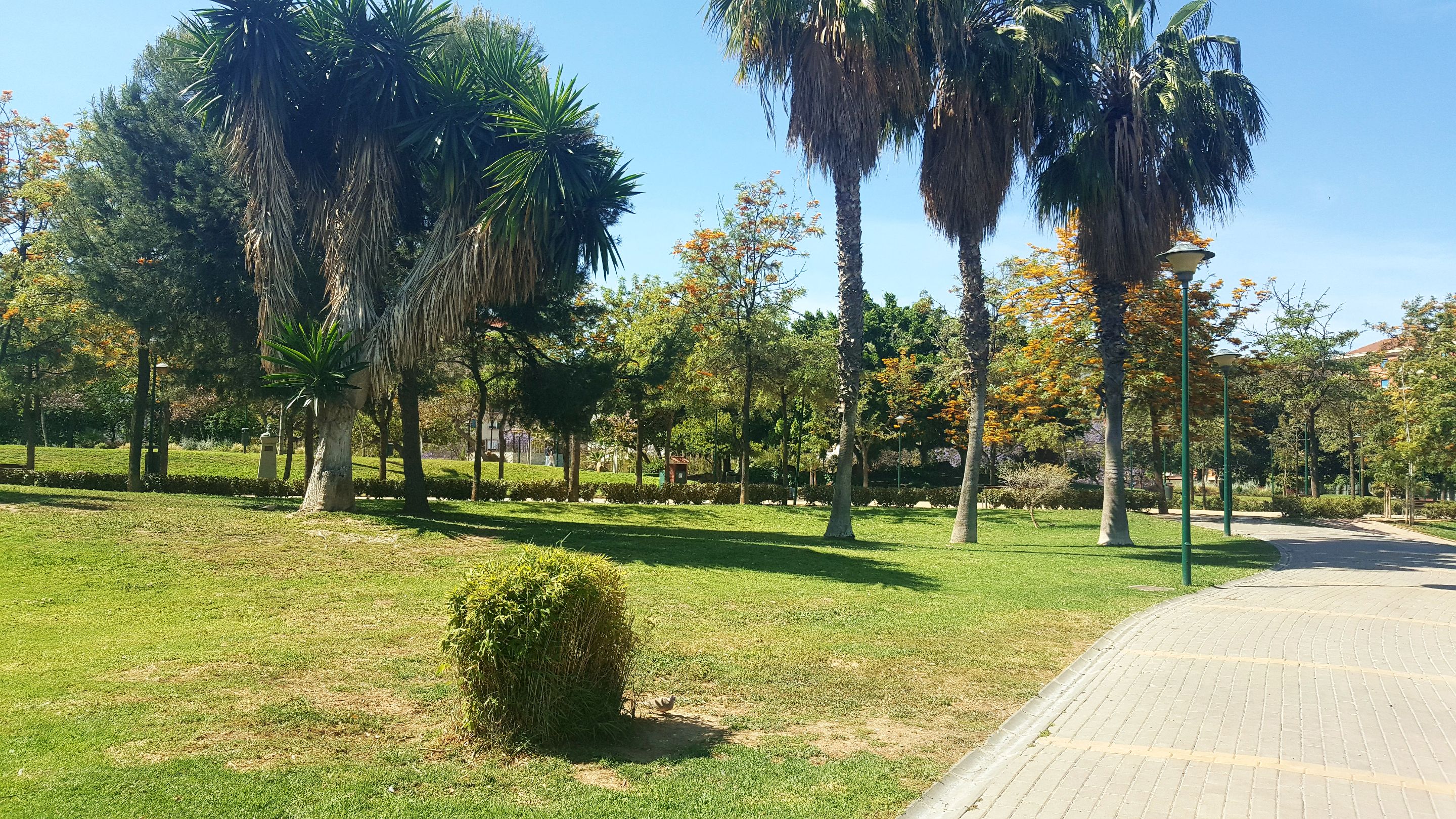 20240503_163552.jpg