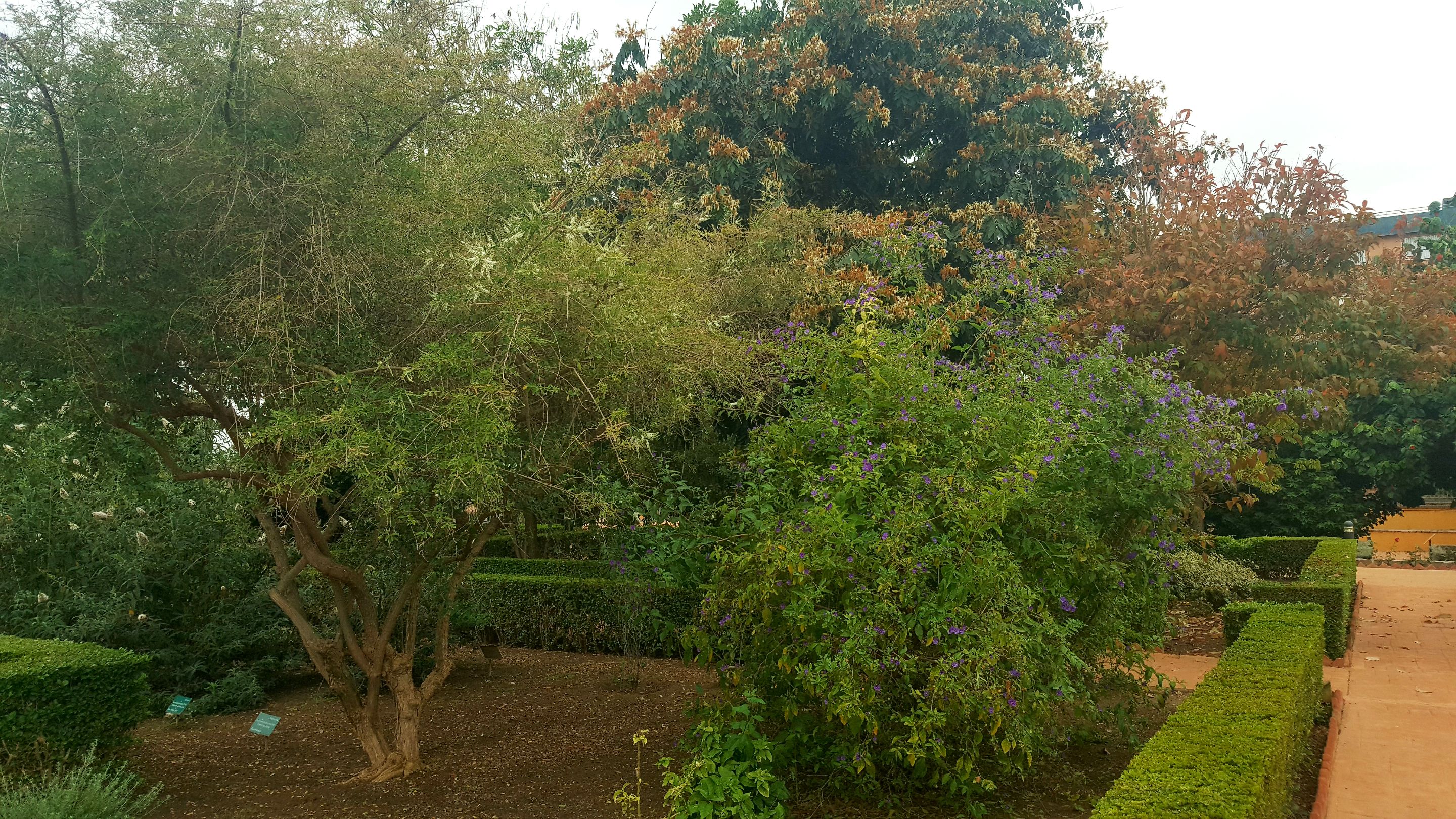 20250610_164315.jpg