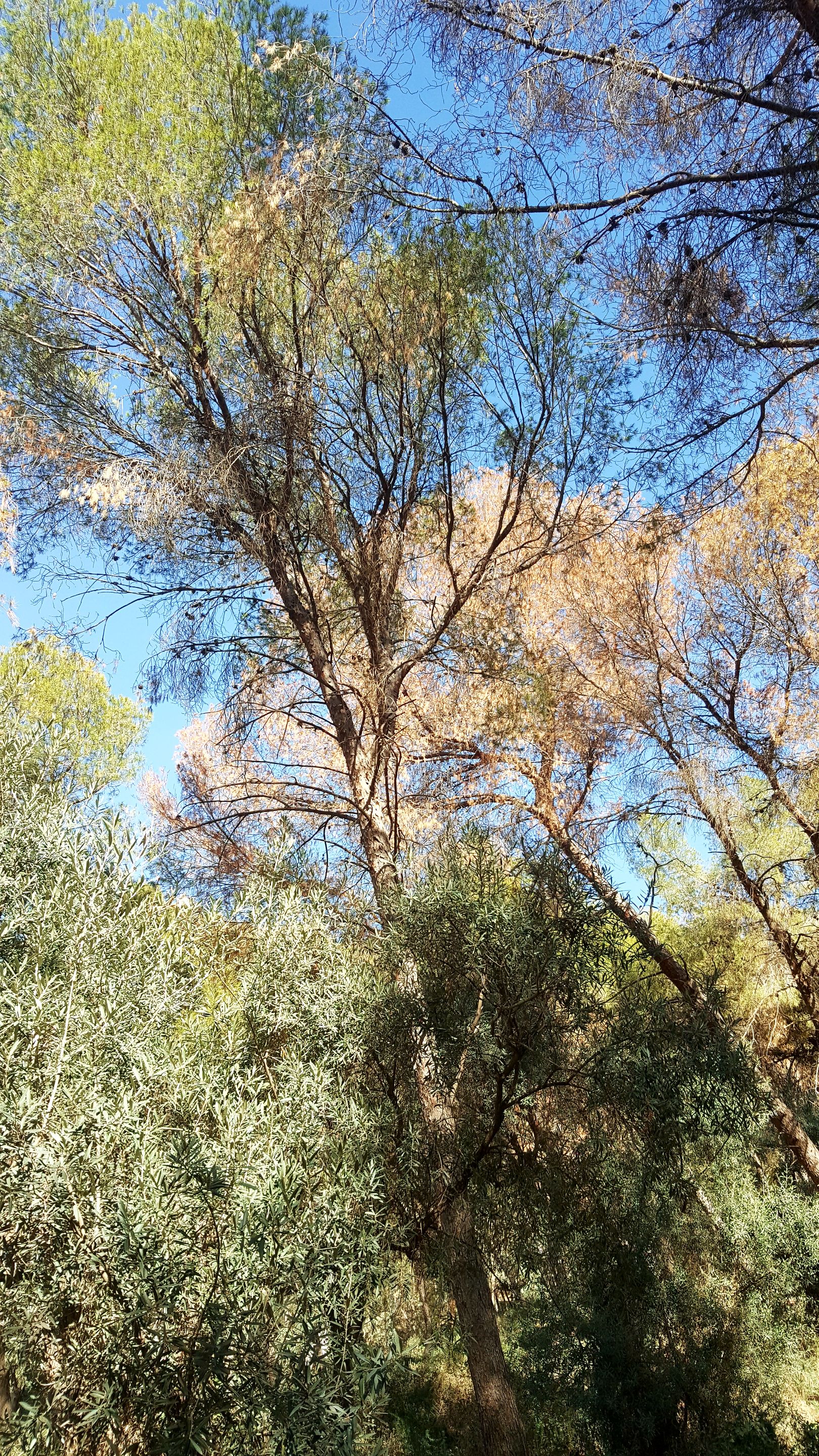 20240218_161325.jpg