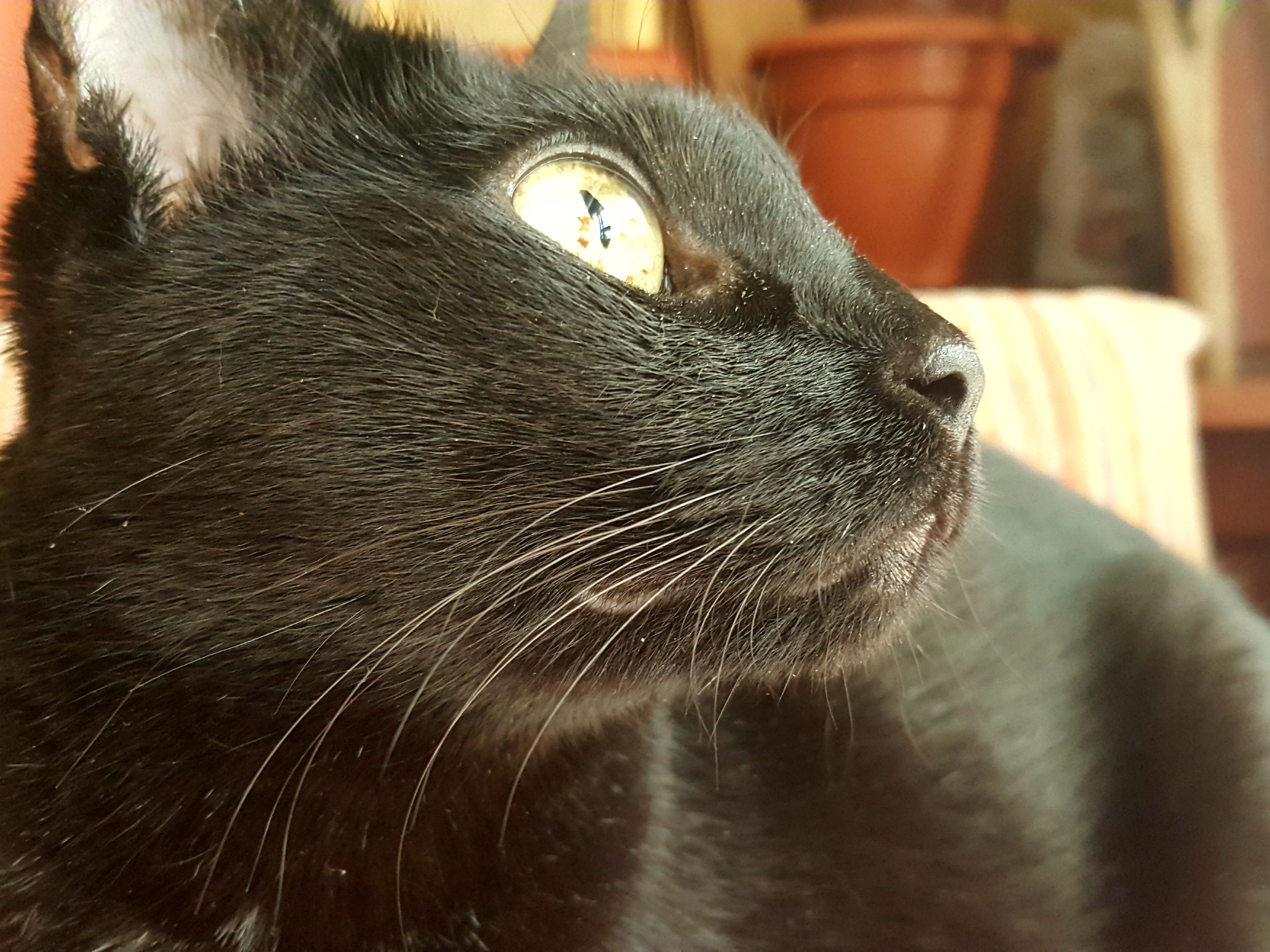 20250713_121748.jpg