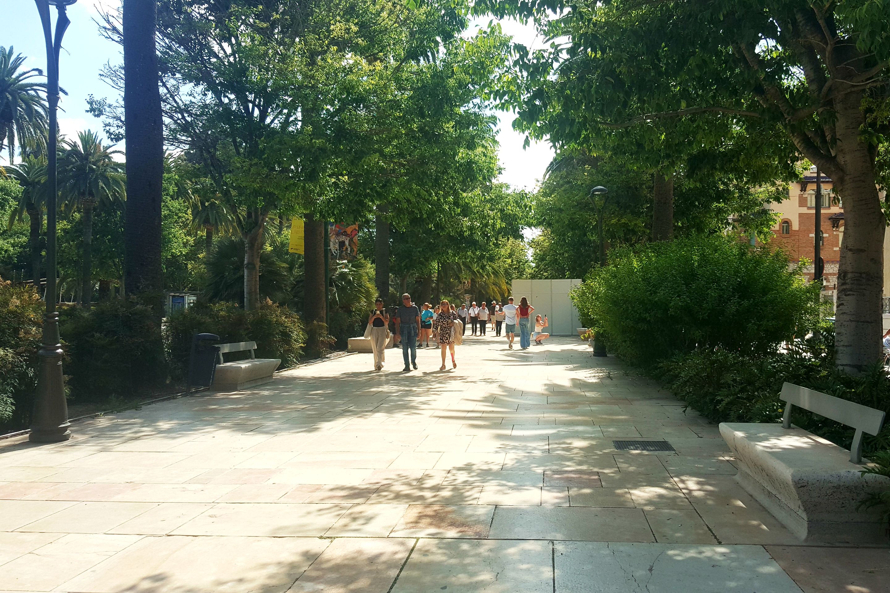20250511_171645.jpg