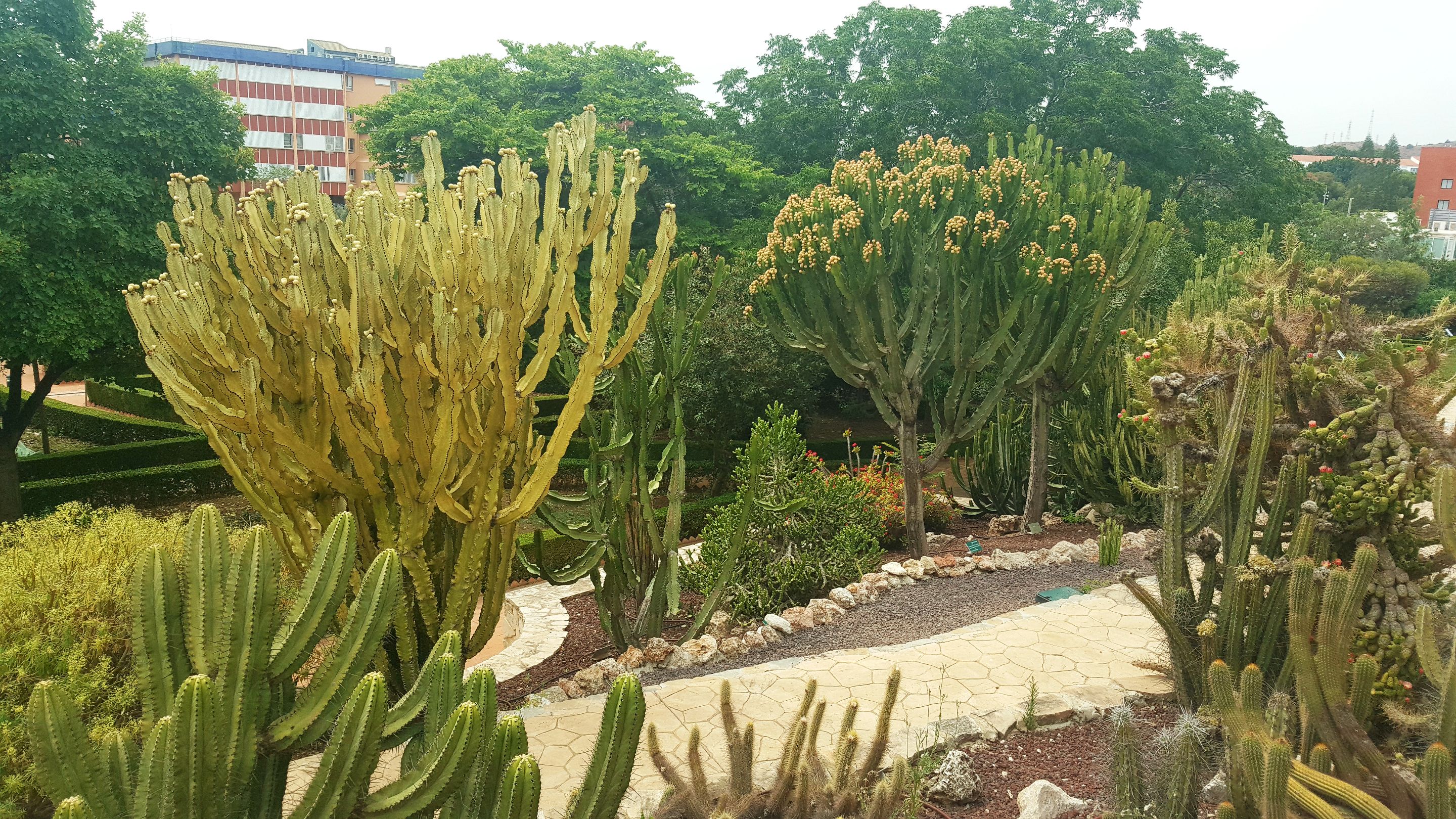 20250610_163508.jpg