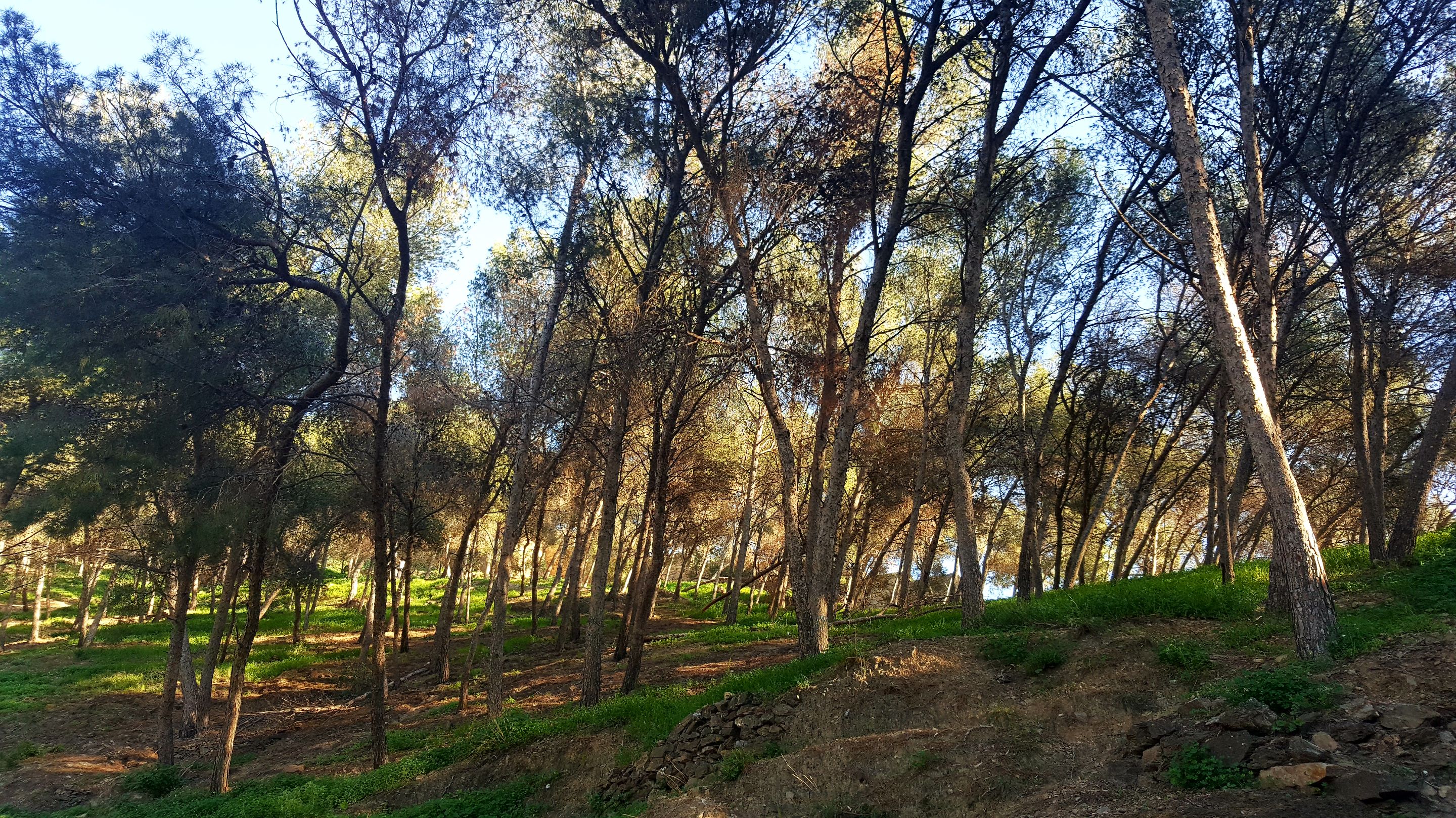 20250115_164338.jpg