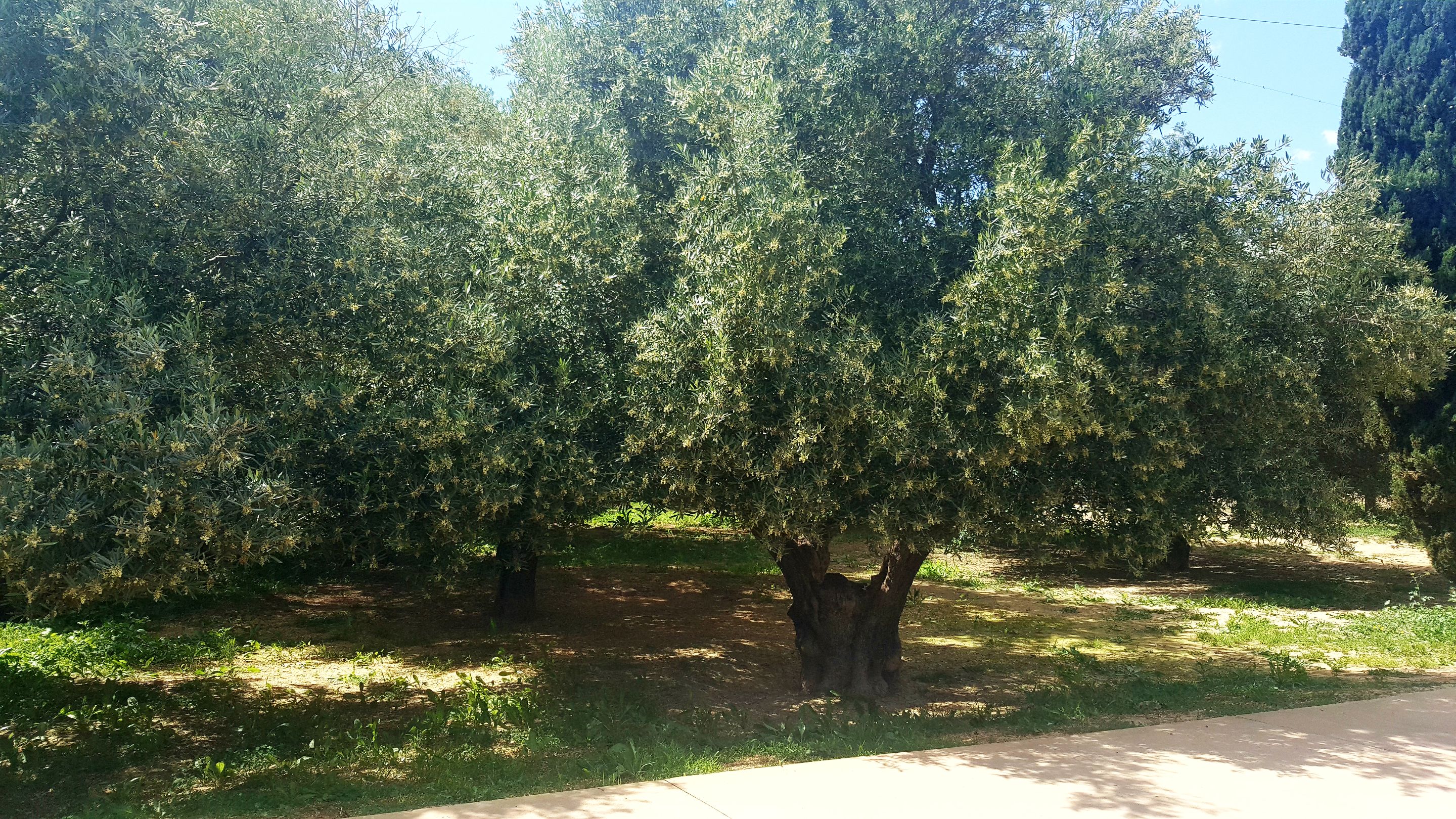 20250416_152147.jpg