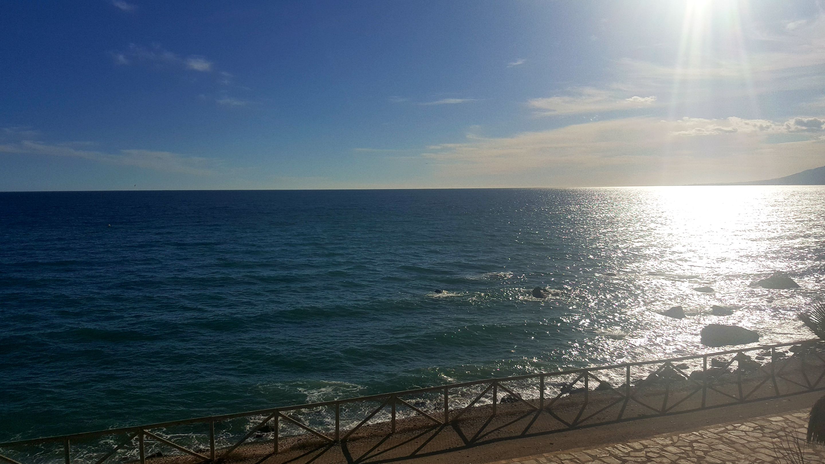 20231024_171445.jpg