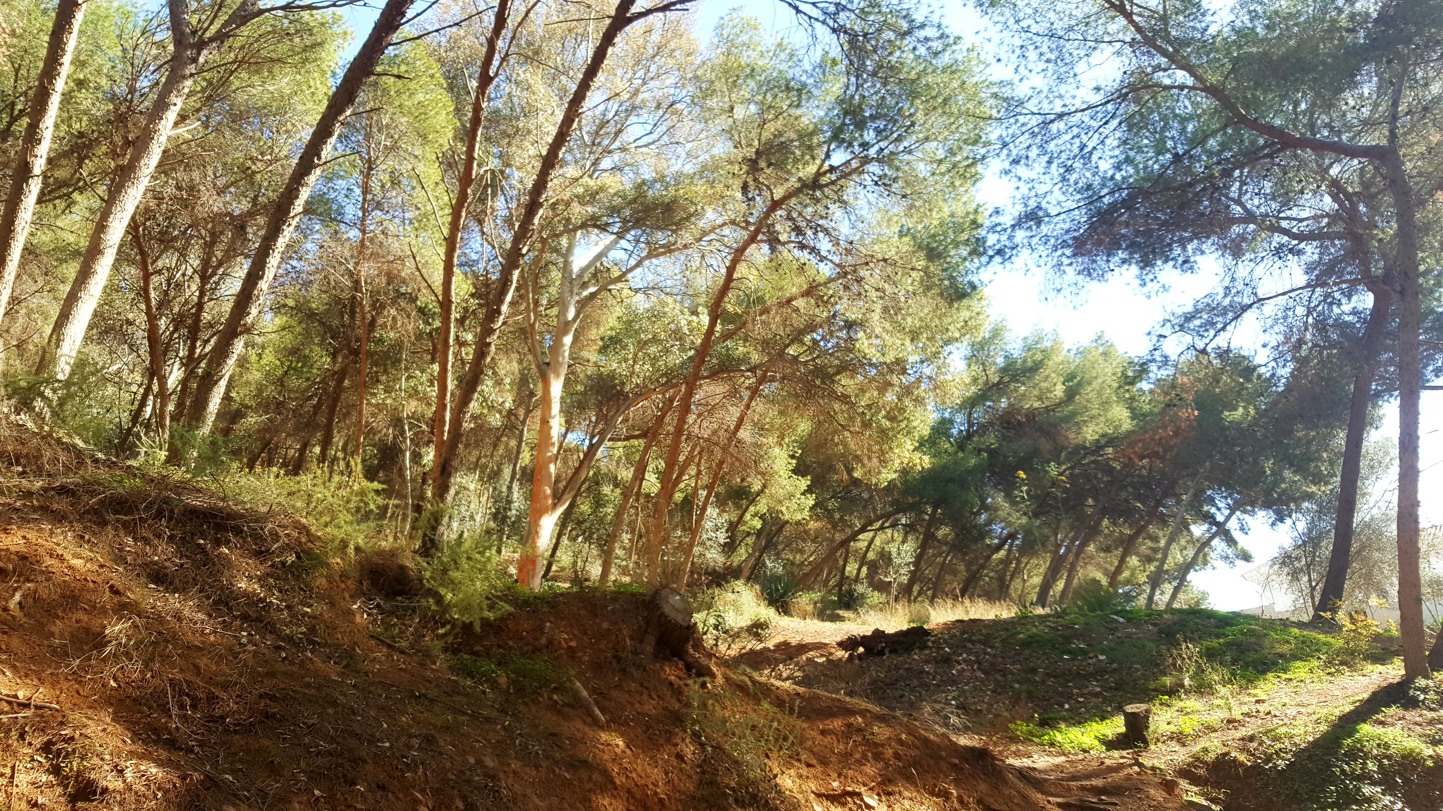 20240218_150923.jpg