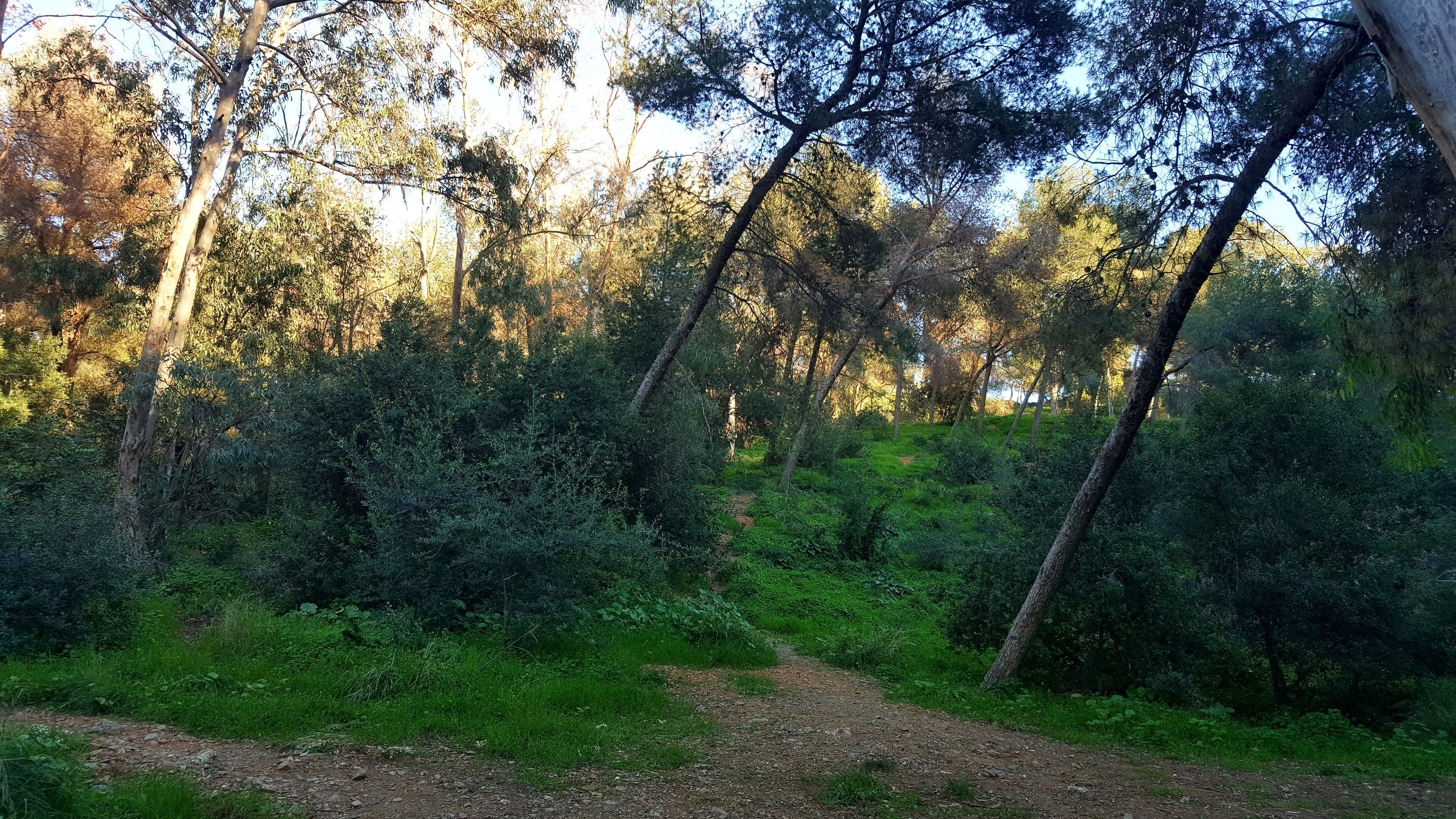 20250115_170524.jpg