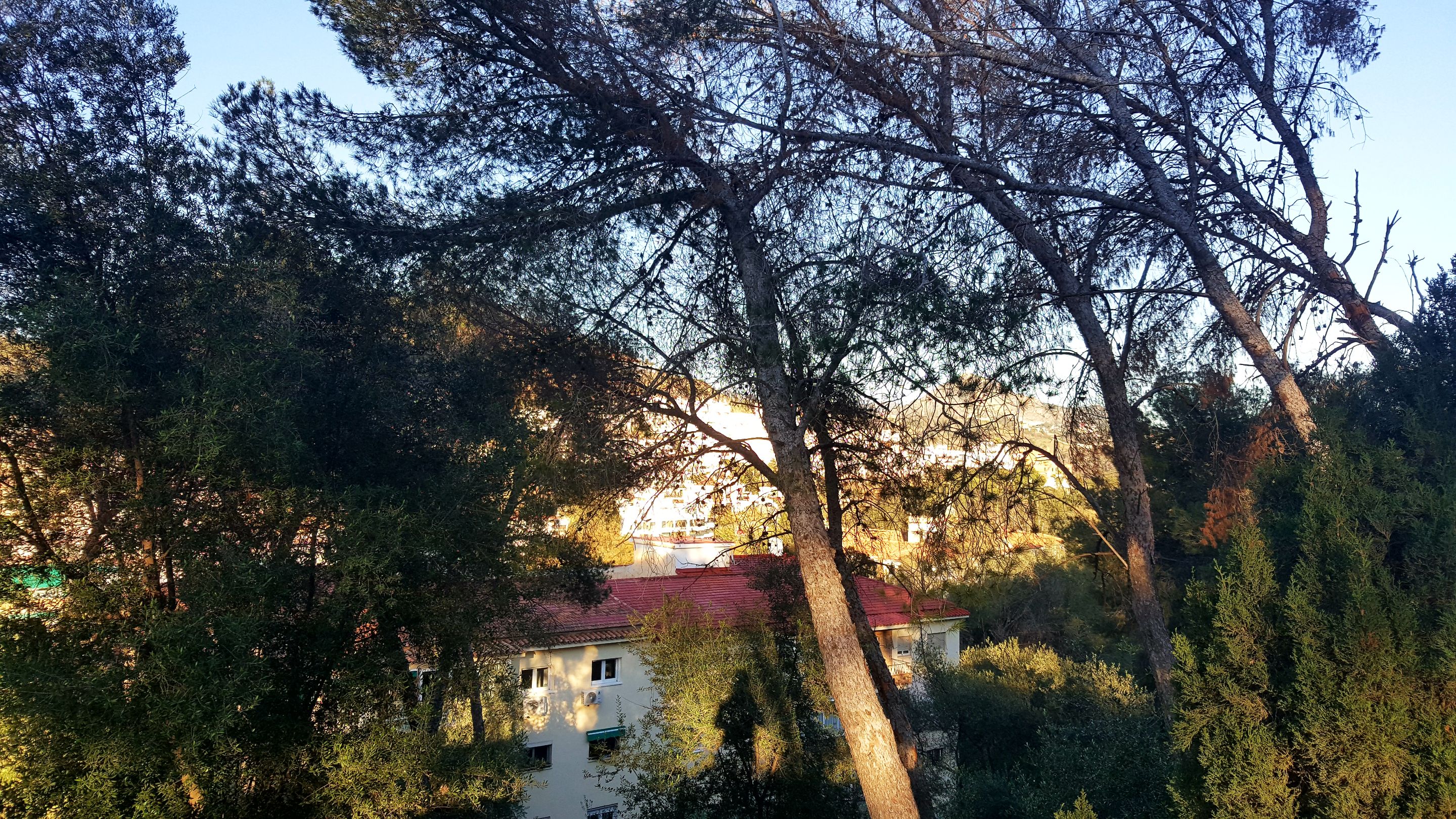 20250115_170954.jpg