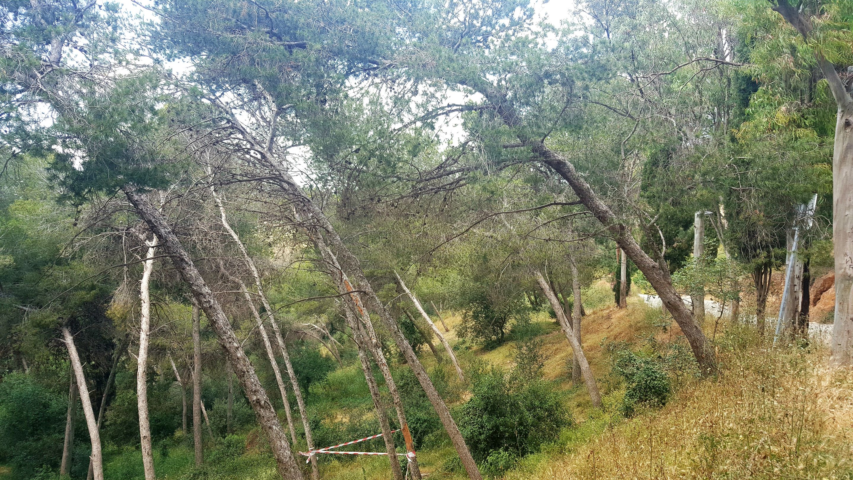 20250511_162656.jpg