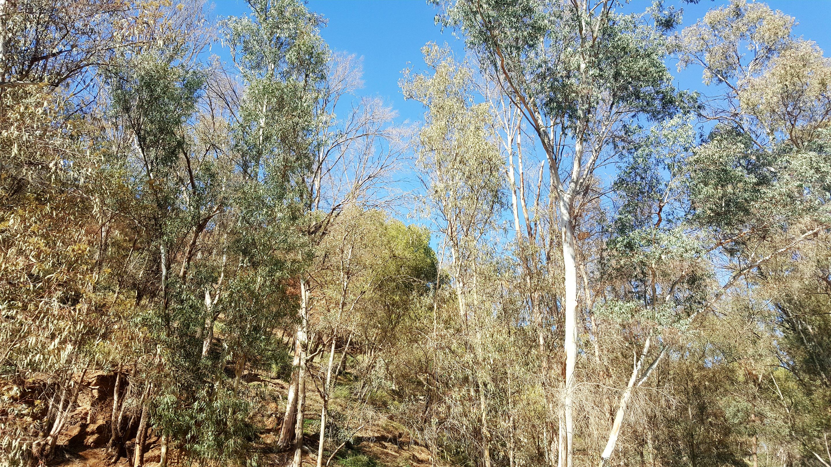 20240218_145312.jpg