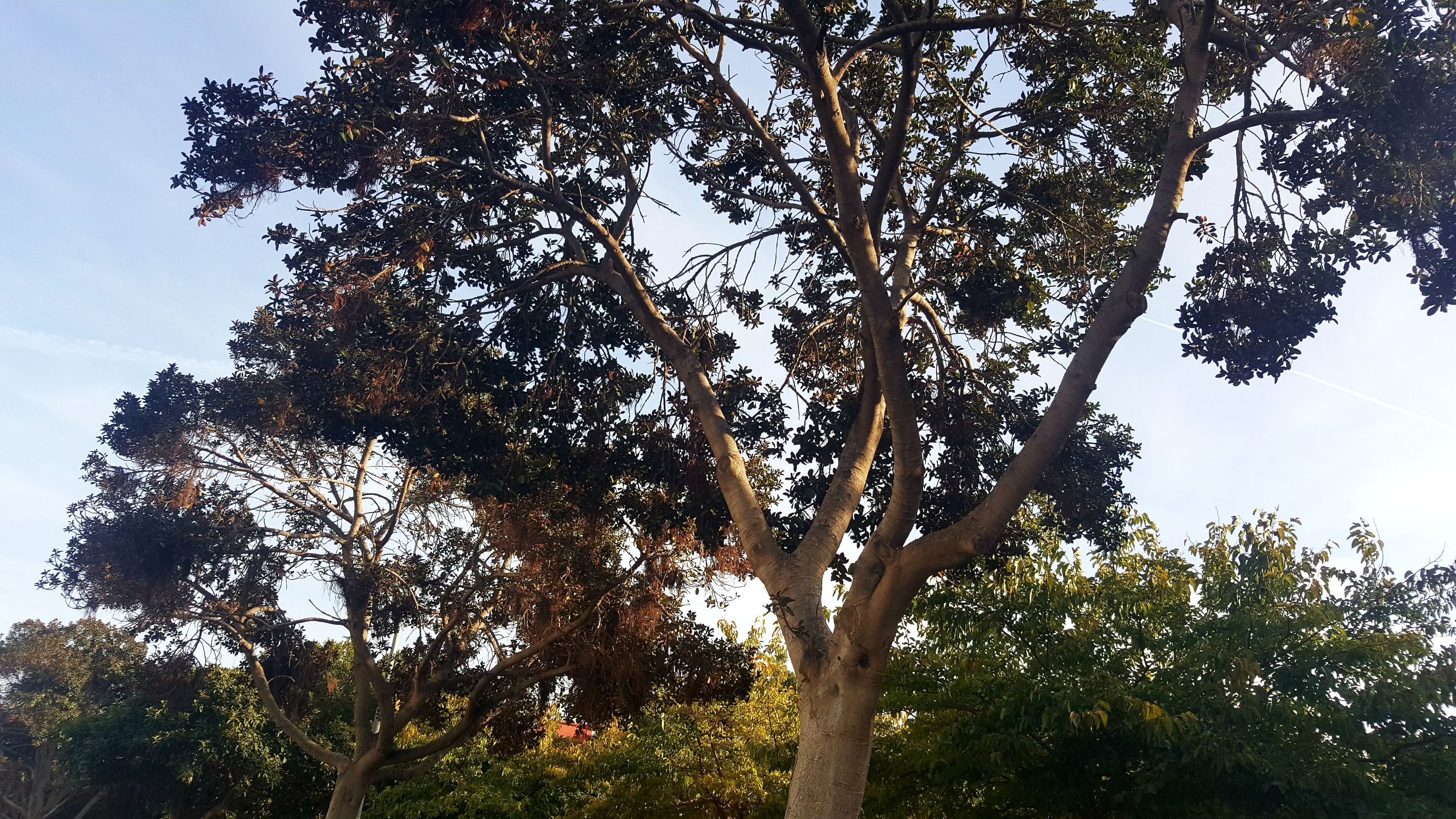 20231108_164440.jpg