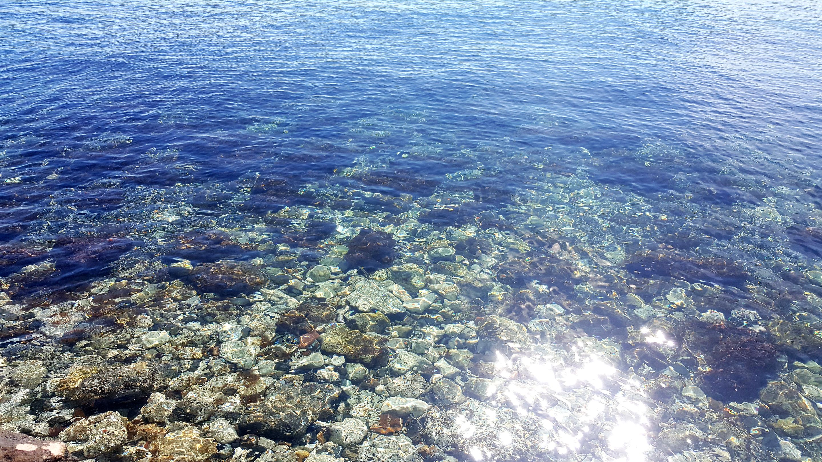 20250912_163419.jpg
