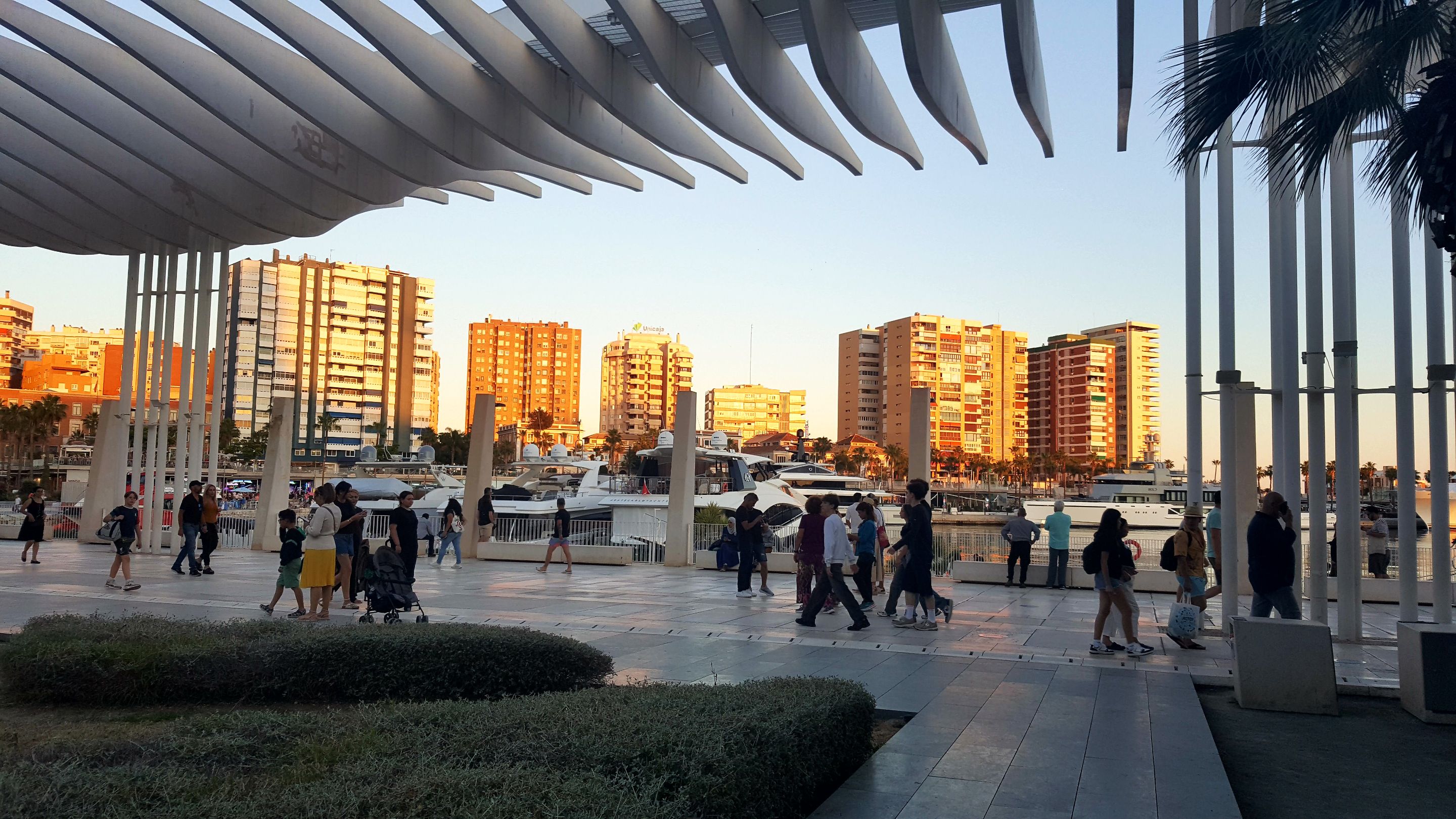 20250525_210940.jpg