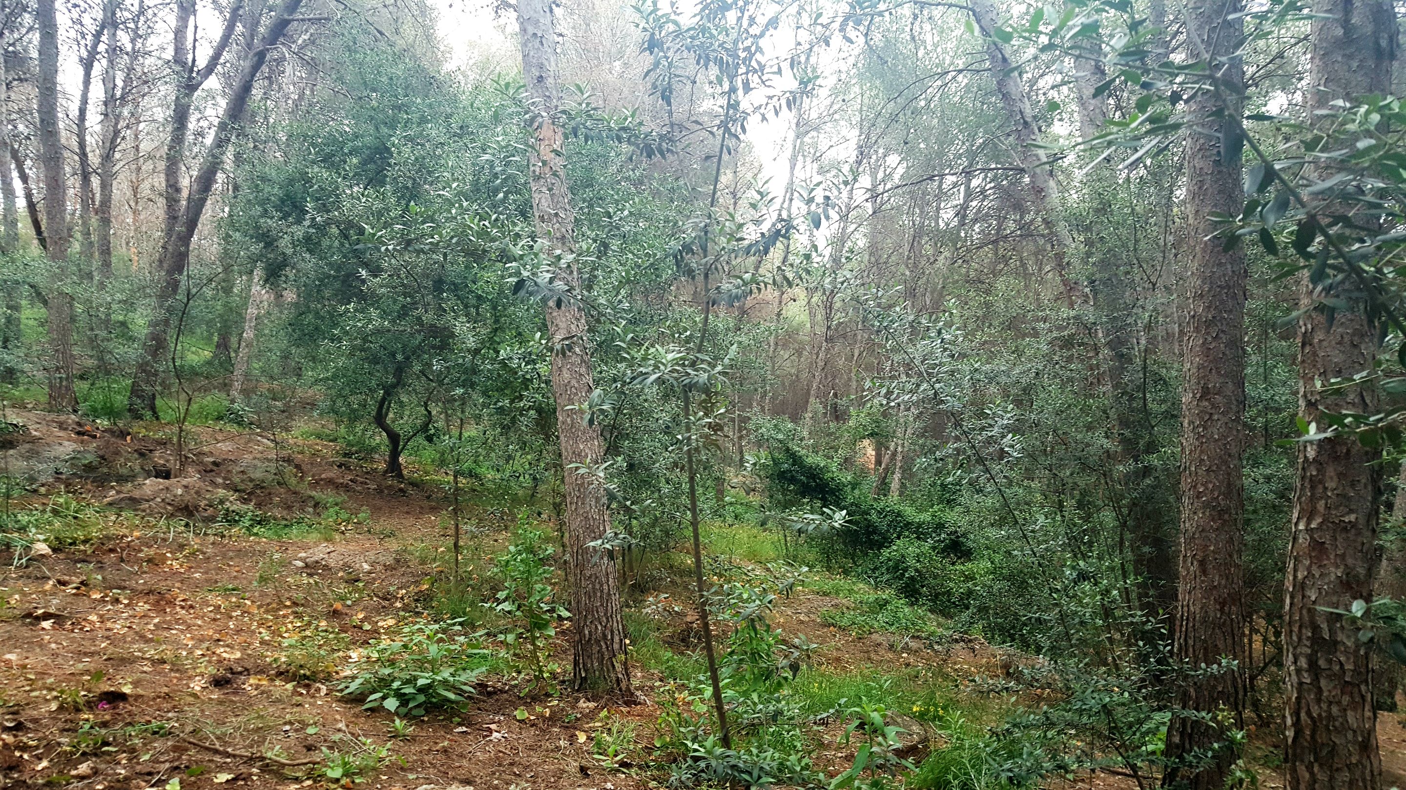 20250430_165508.jpg