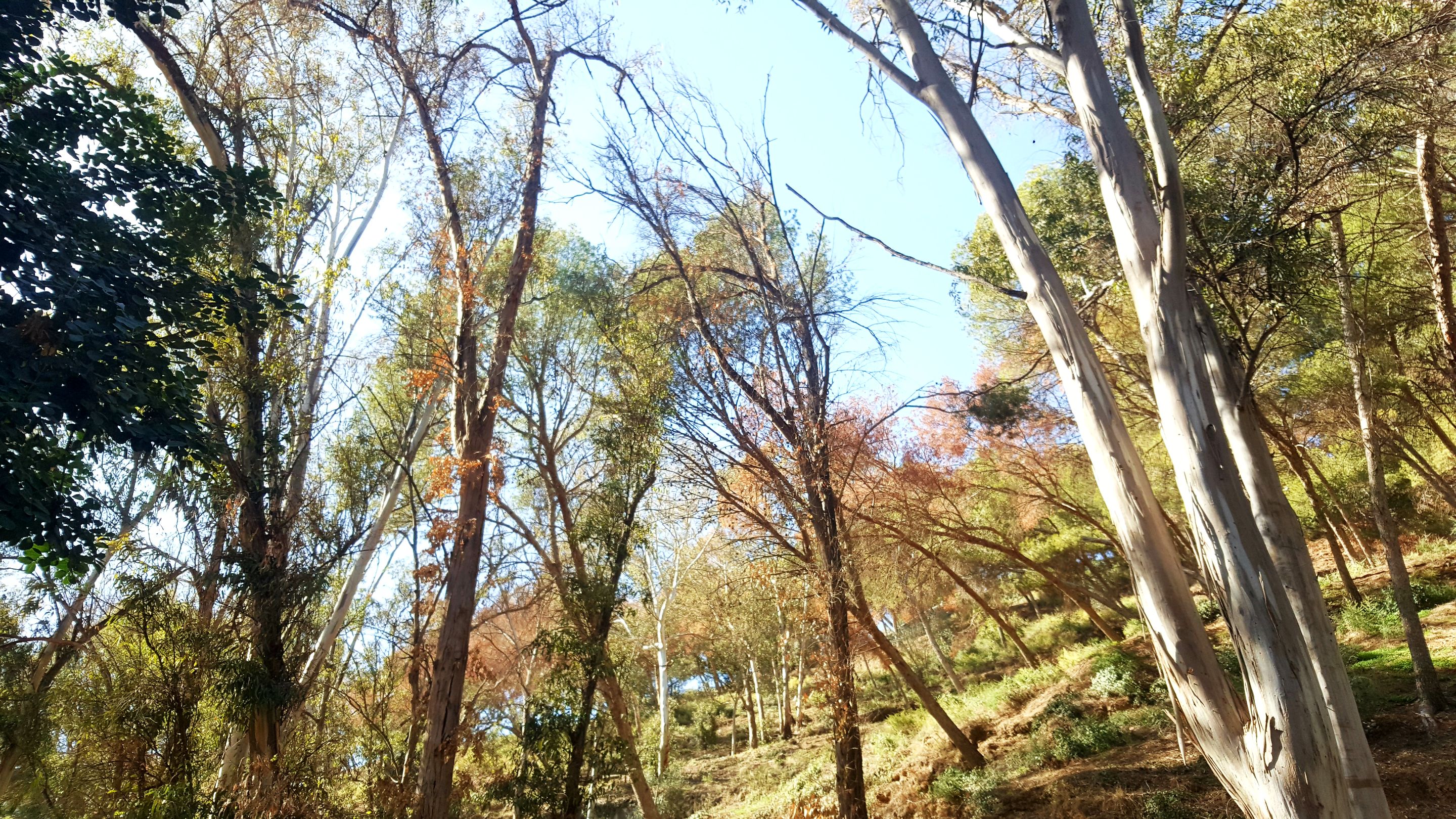 20240218_150533.jpg