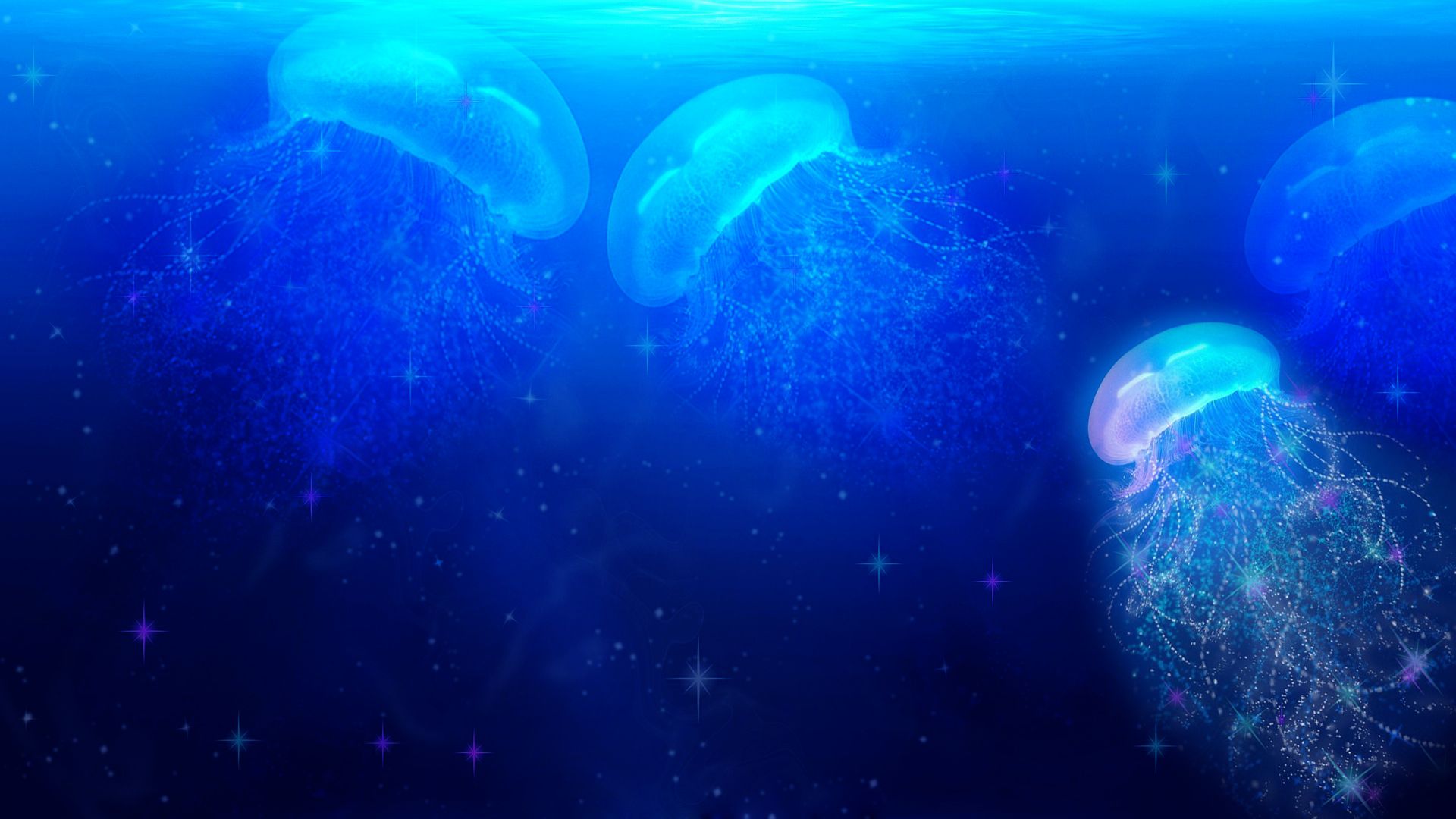 Mirada de medusa 2.jpg