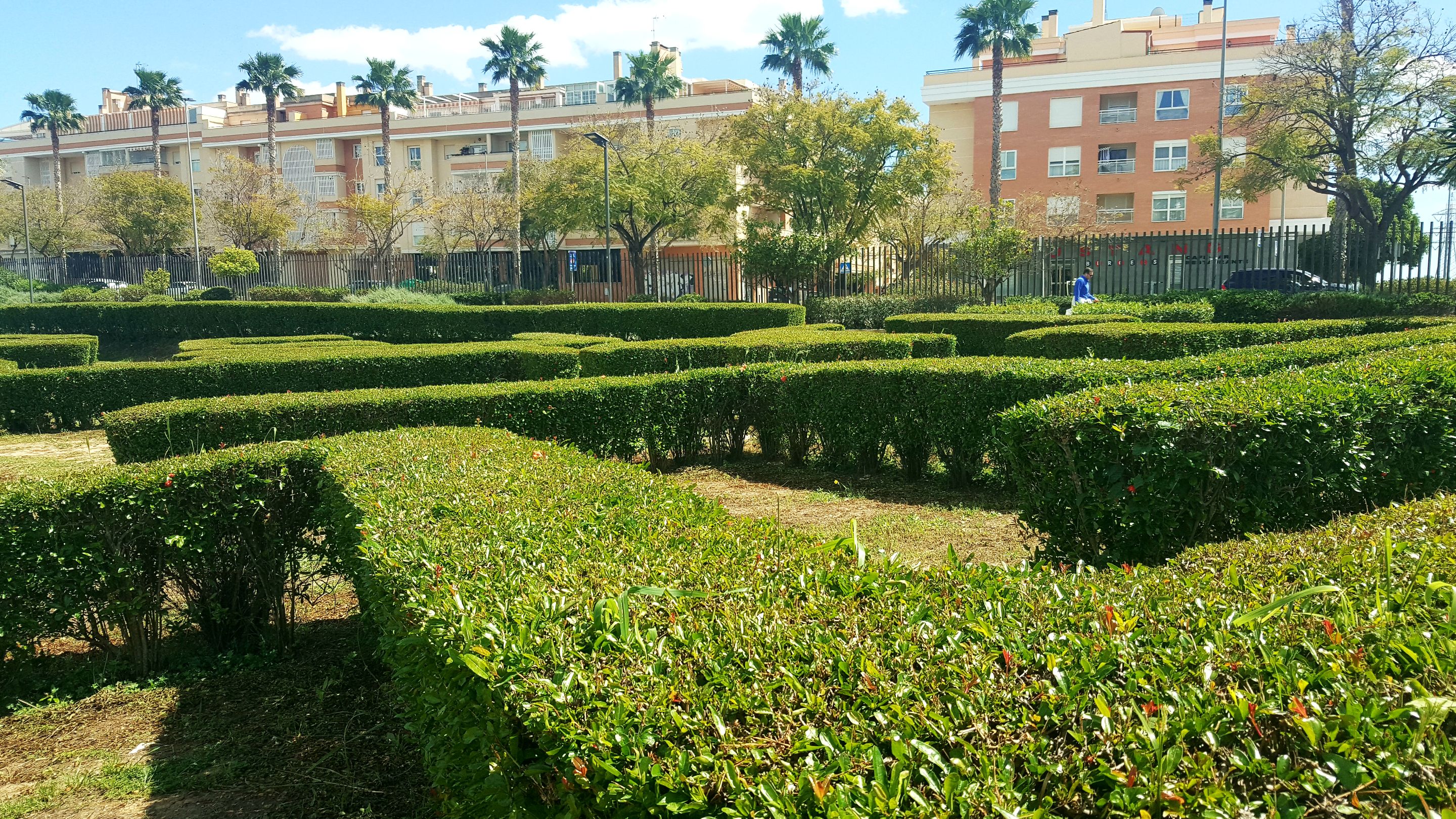 20250416_155038.jpg