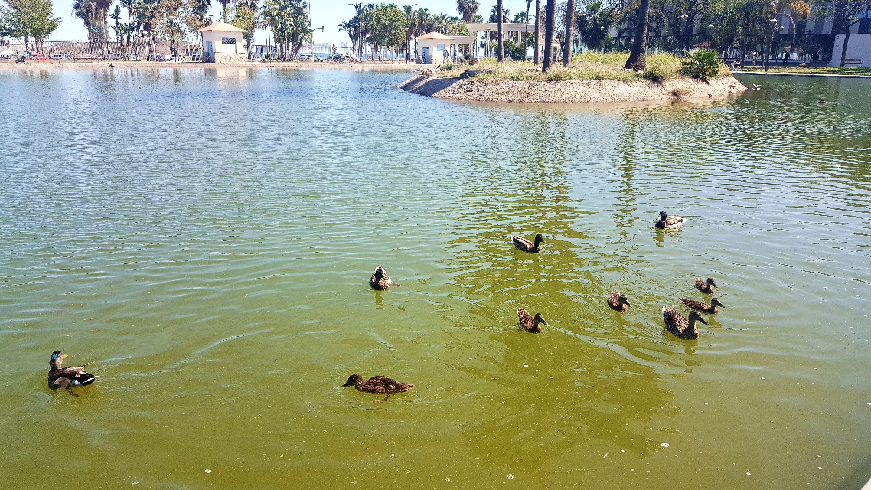 20240503_163746.jpg