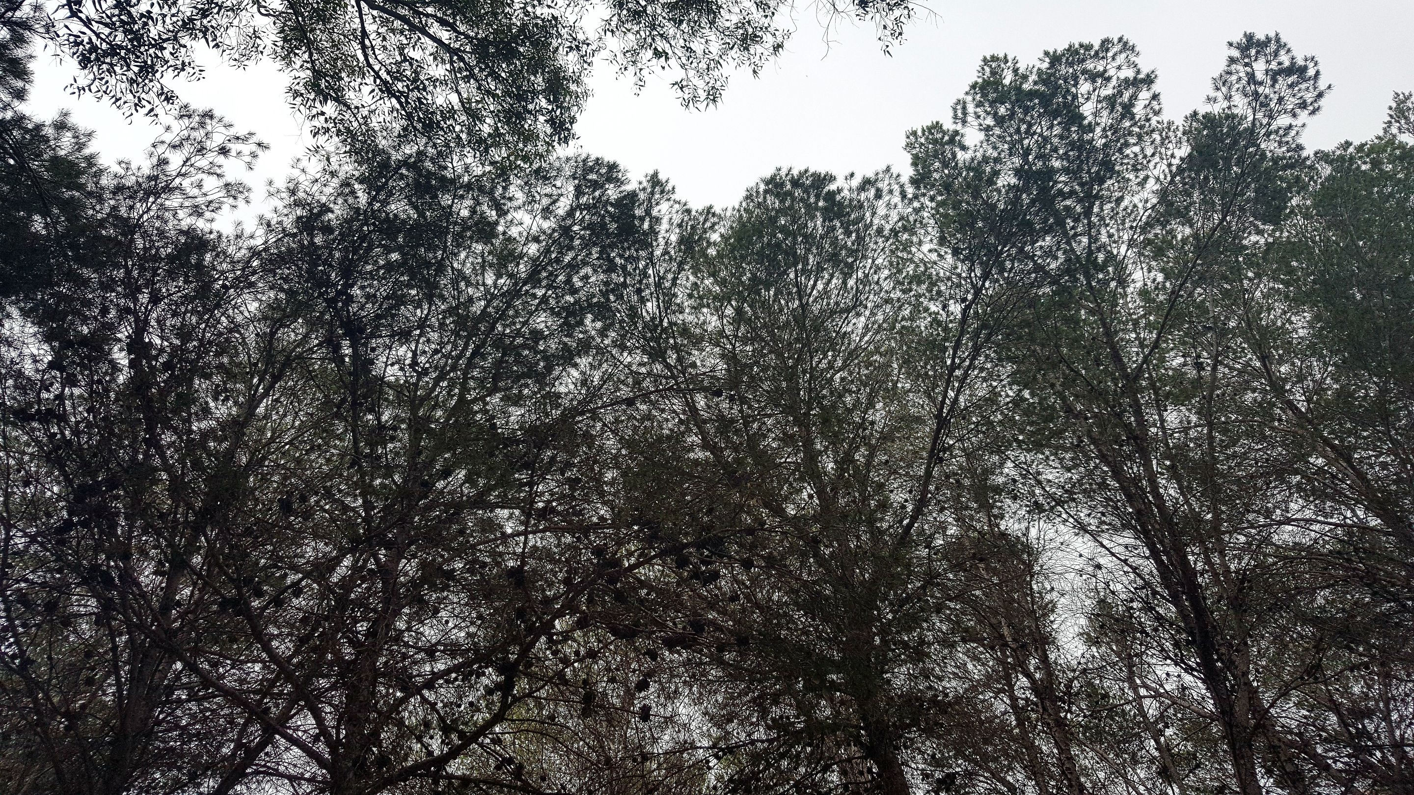20250430_163204.jpg