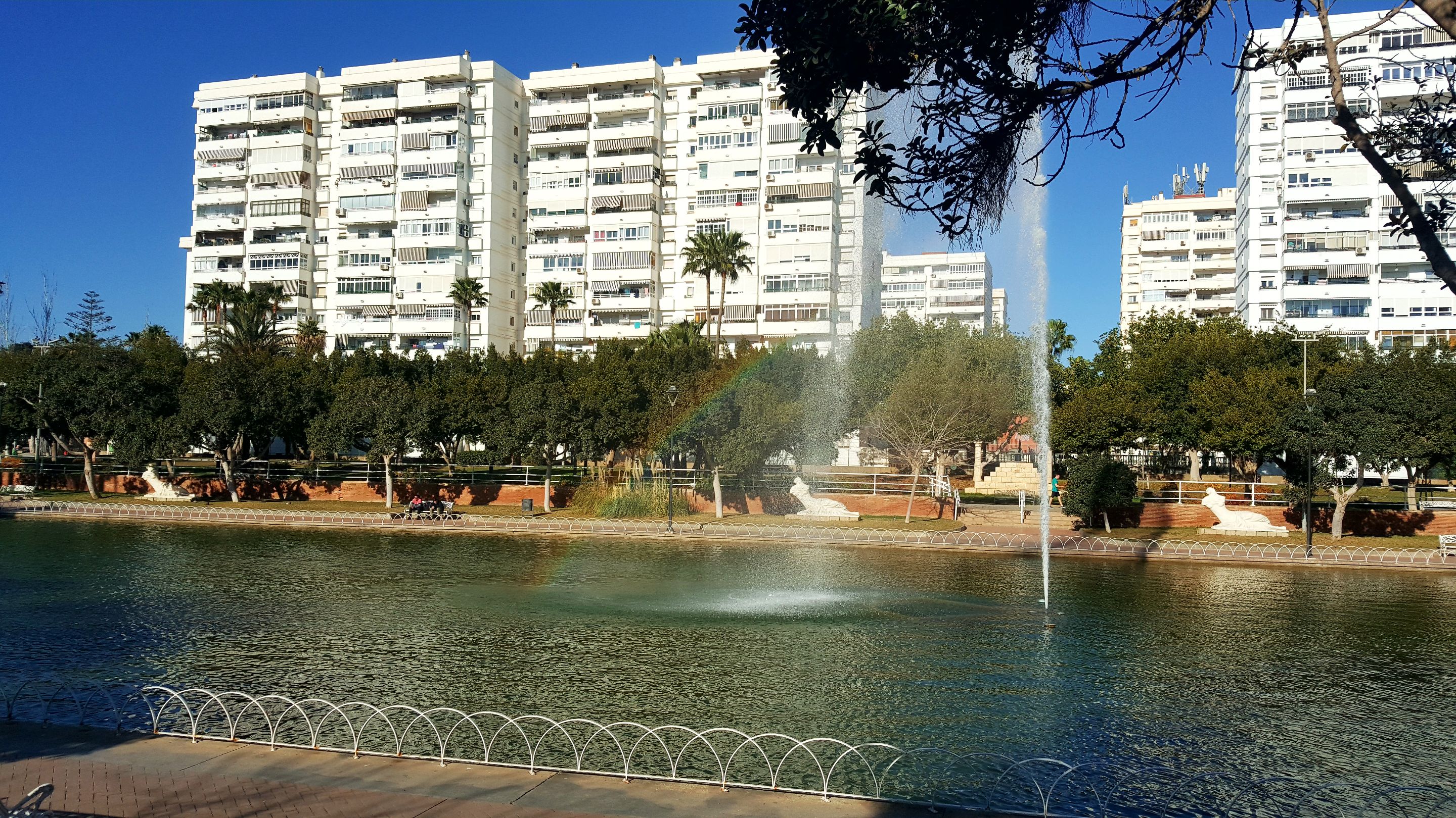 20240202_160110.jpg