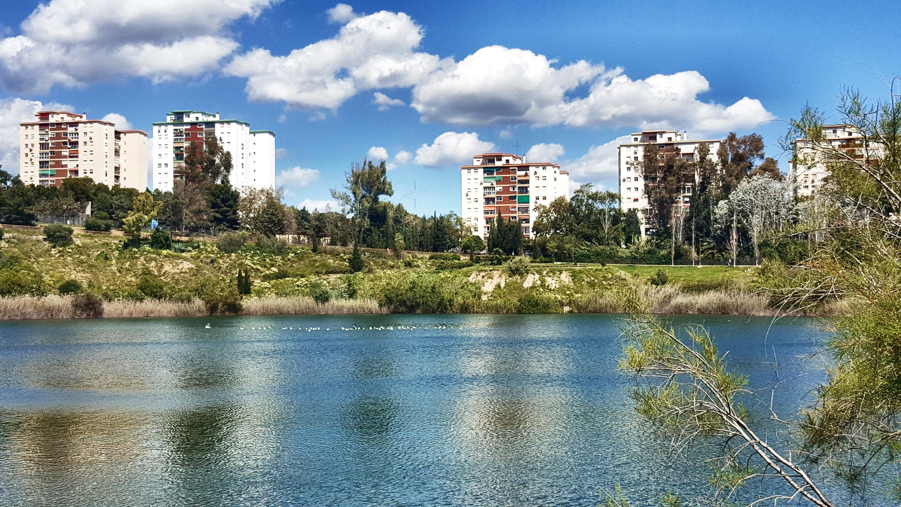 20250416_160029.jpg