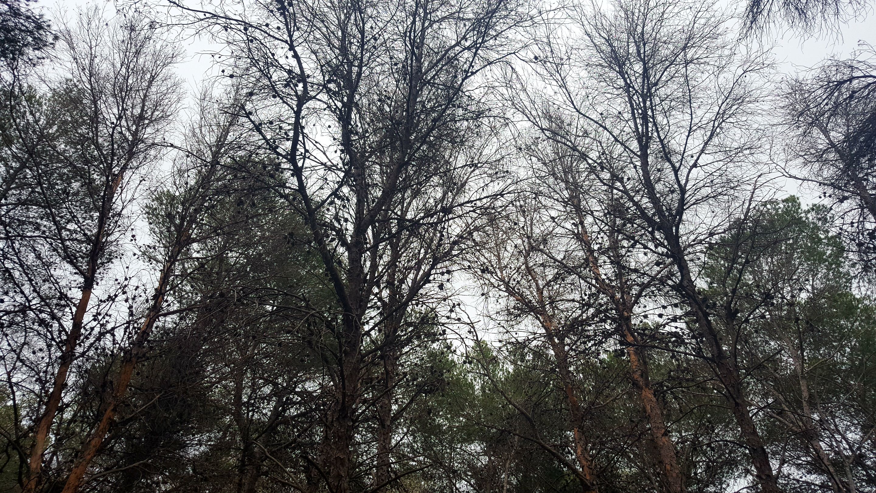 20250430_164001.jpg