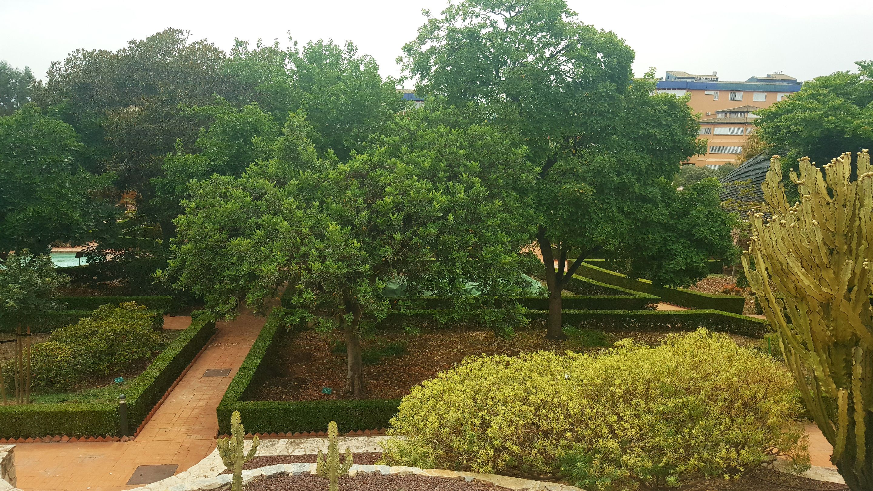 20250610_163501.jpg