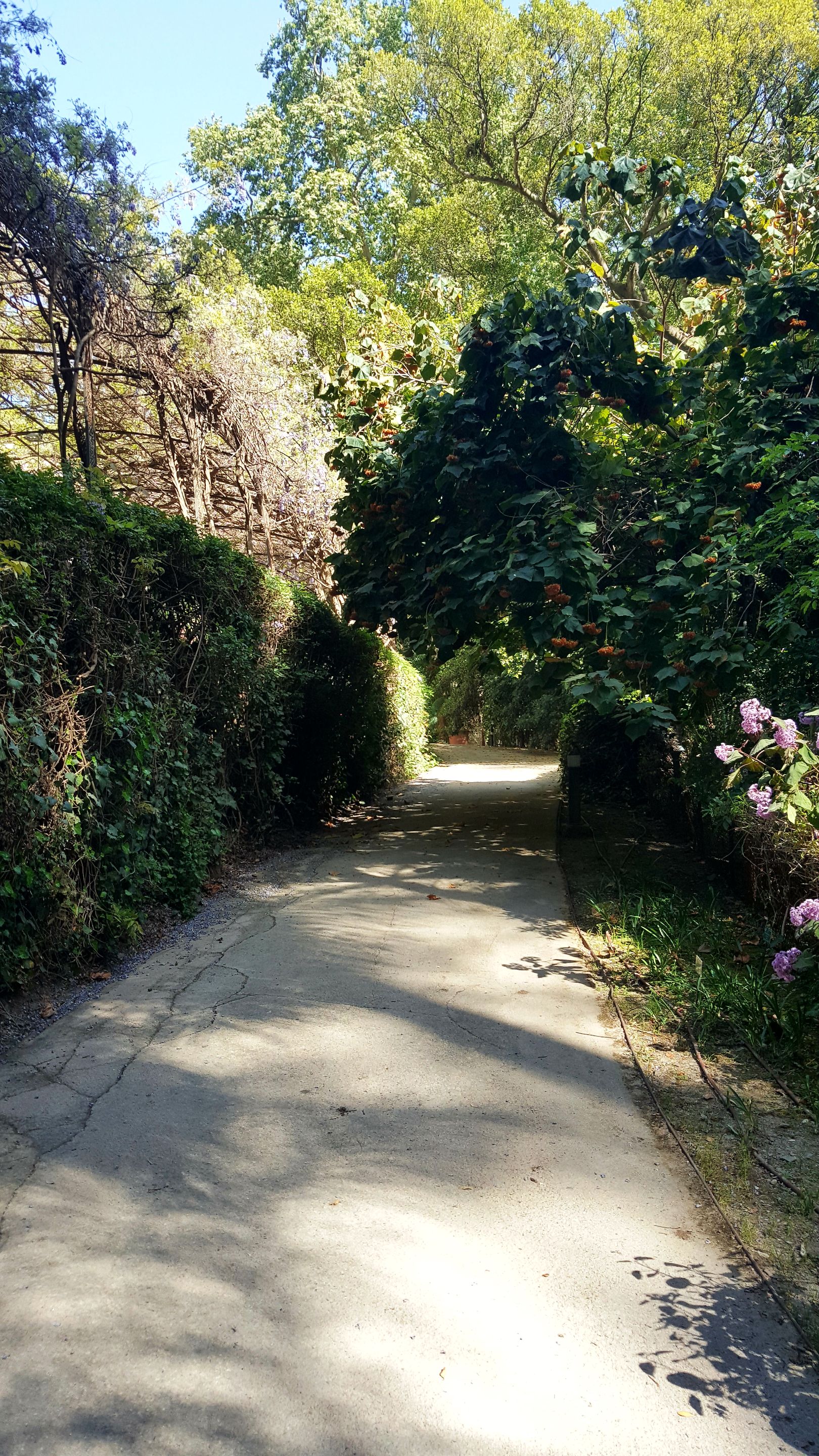 20230409_171019.jpg