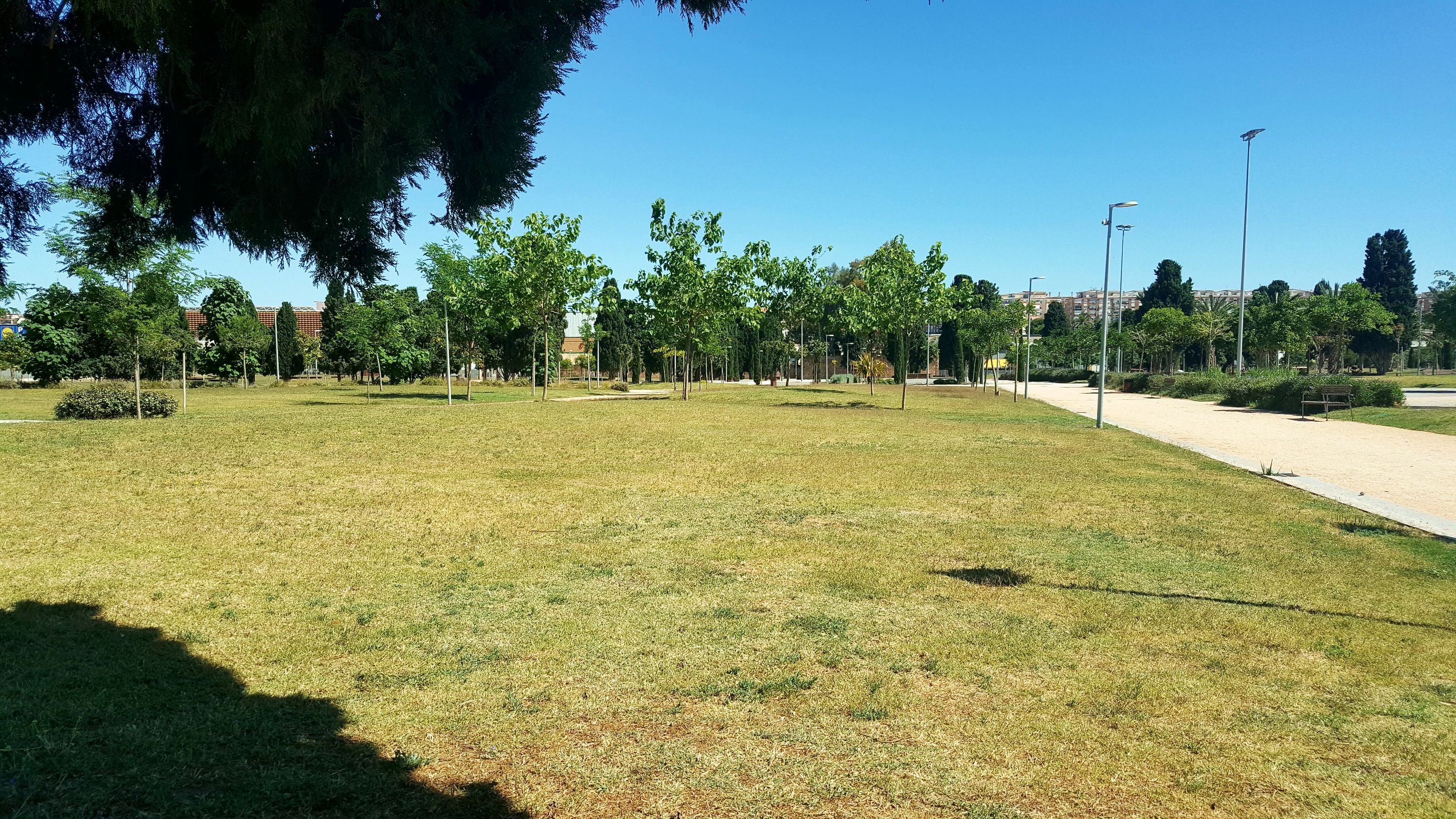 20250521_164757.jpg
