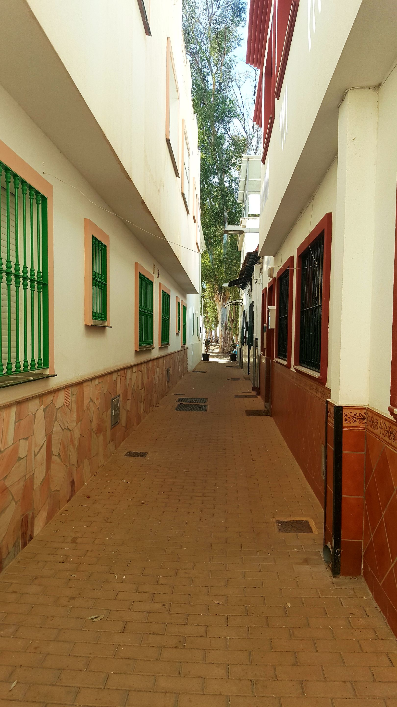 20250912_161320.jpg
