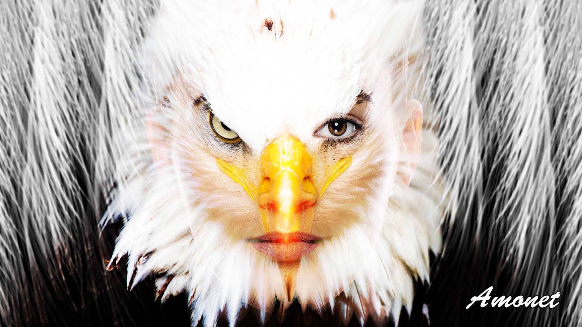Mujer águila 7.jpg