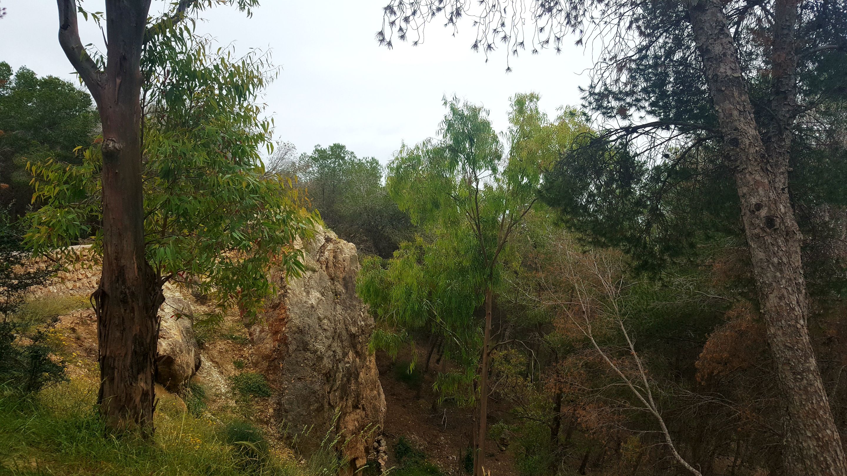 20250430_173308.jpg