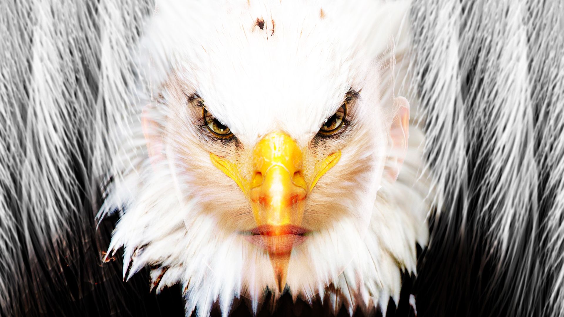 Mujer águila 6.jpg