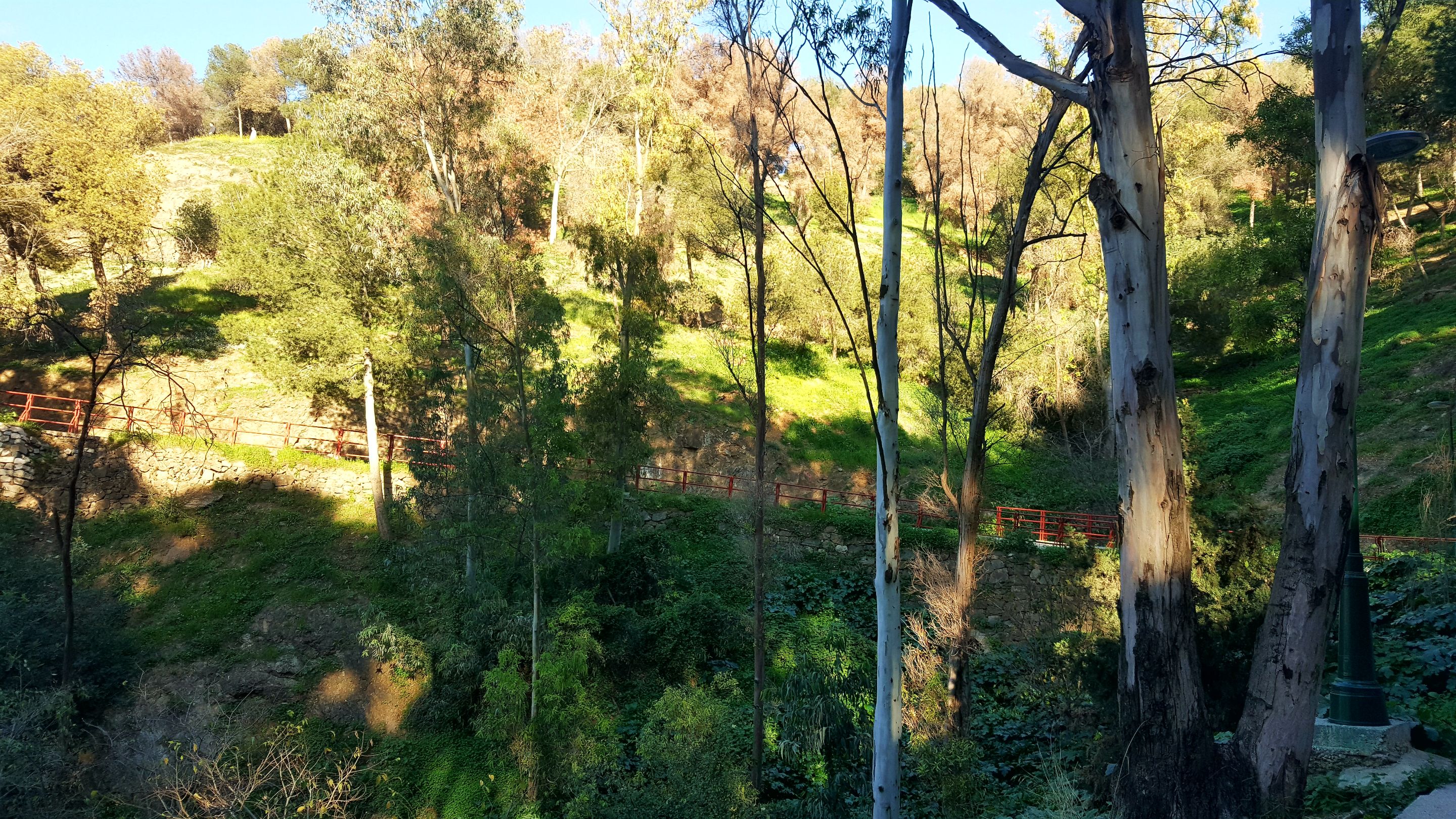 20250115_164324.jpg