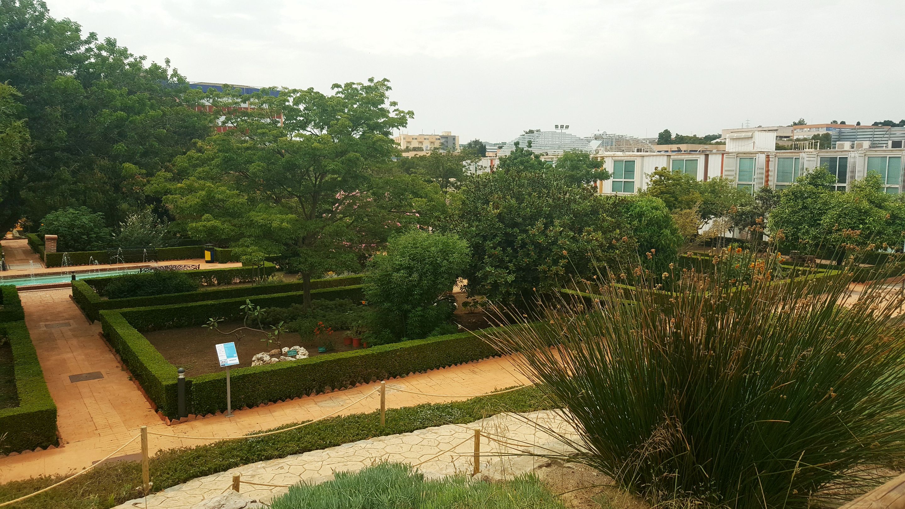 20250610_163245.jpg