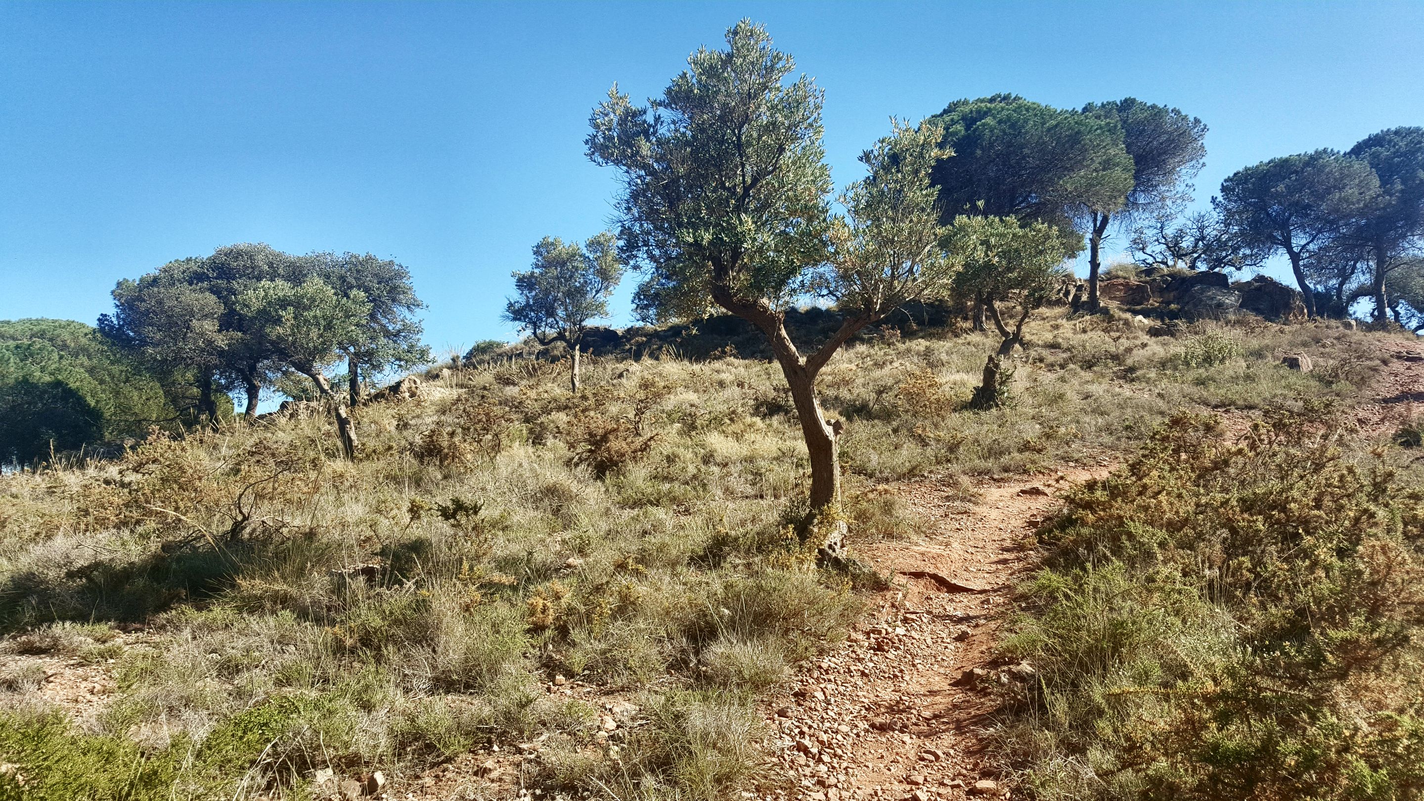 20230426_173856.jpg