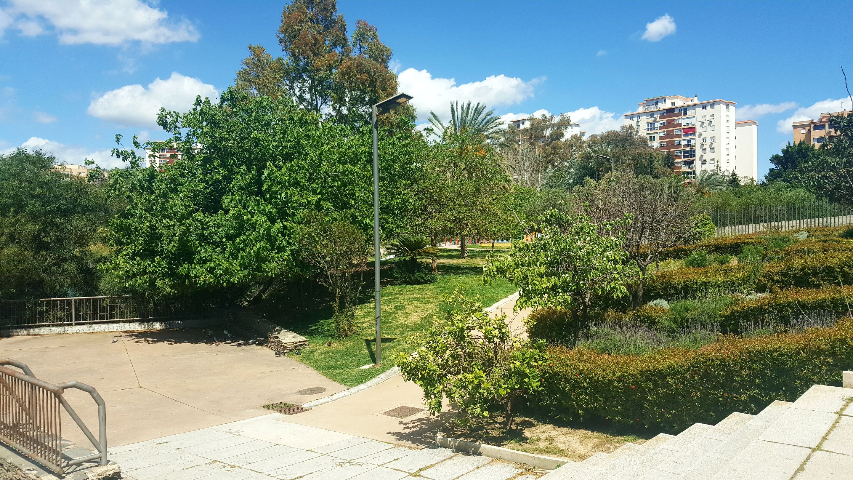 20250416_151715.jpg