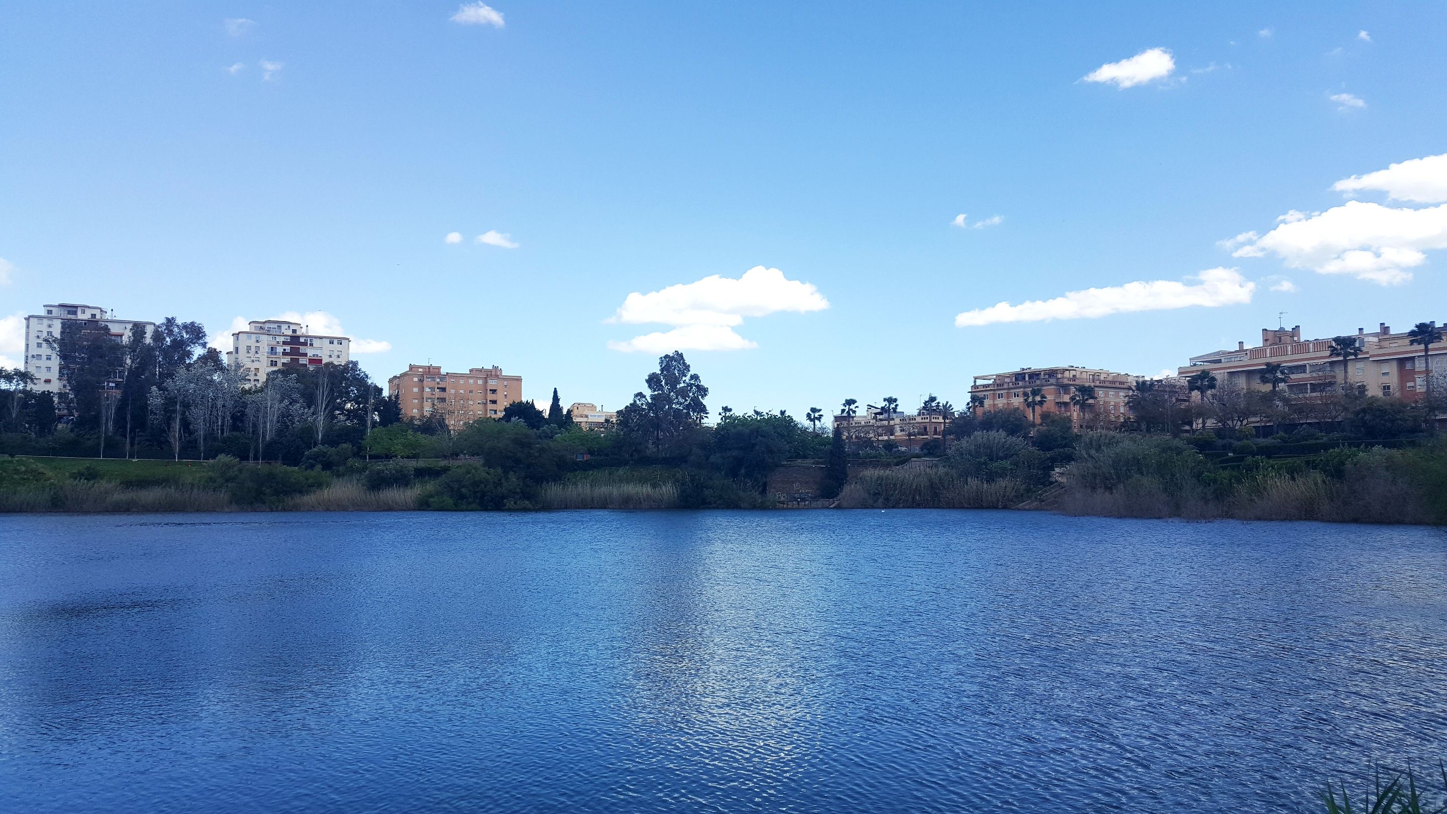 20250416_155709.jpg