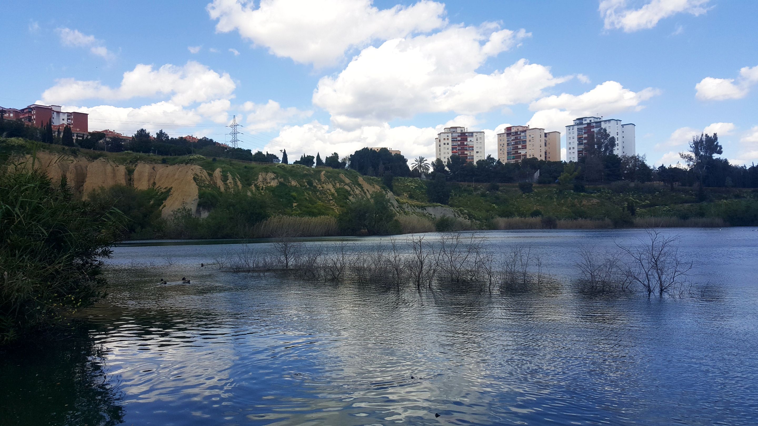 20250416_155646.jpg