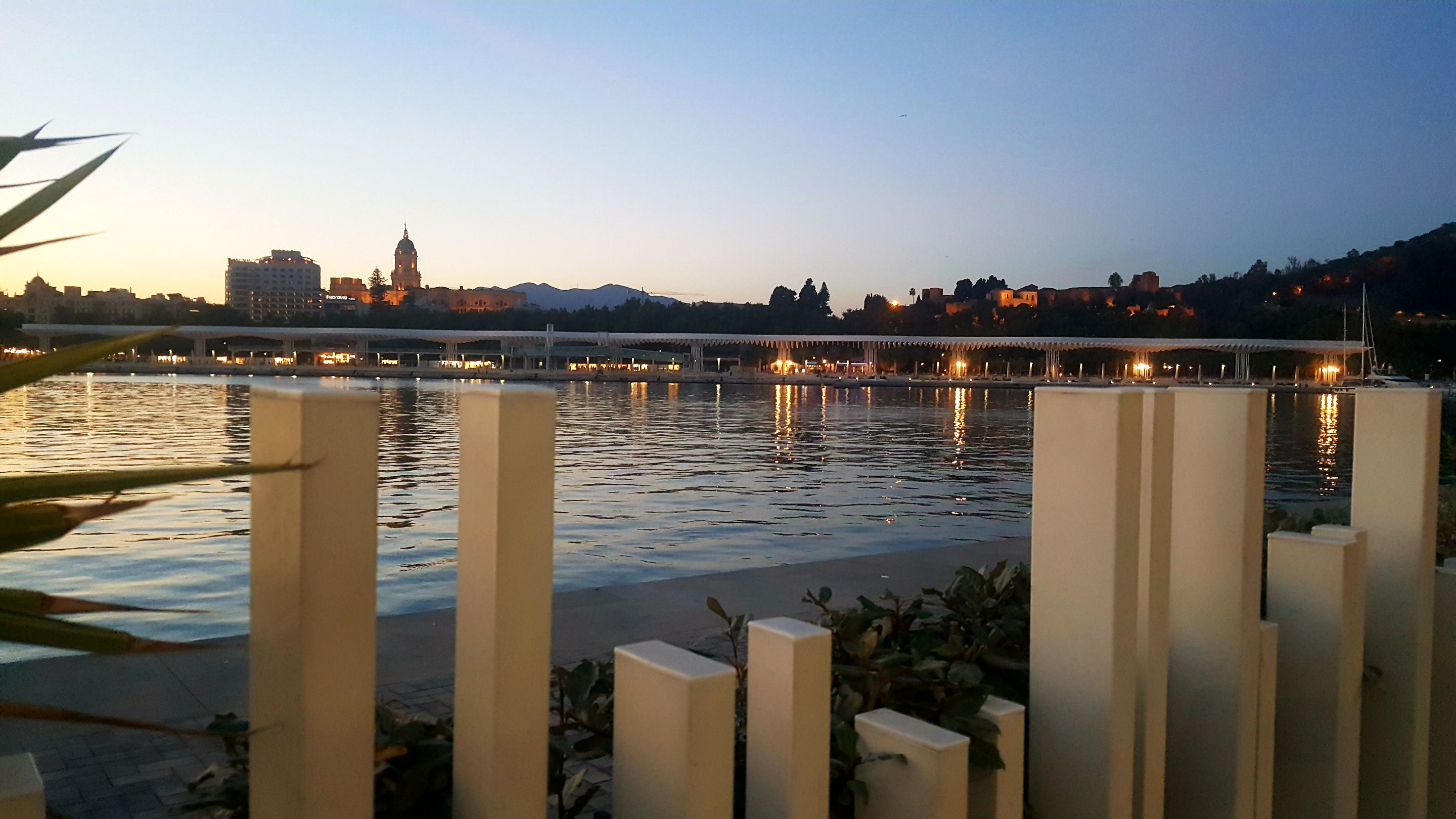 20231003_201437.jpg