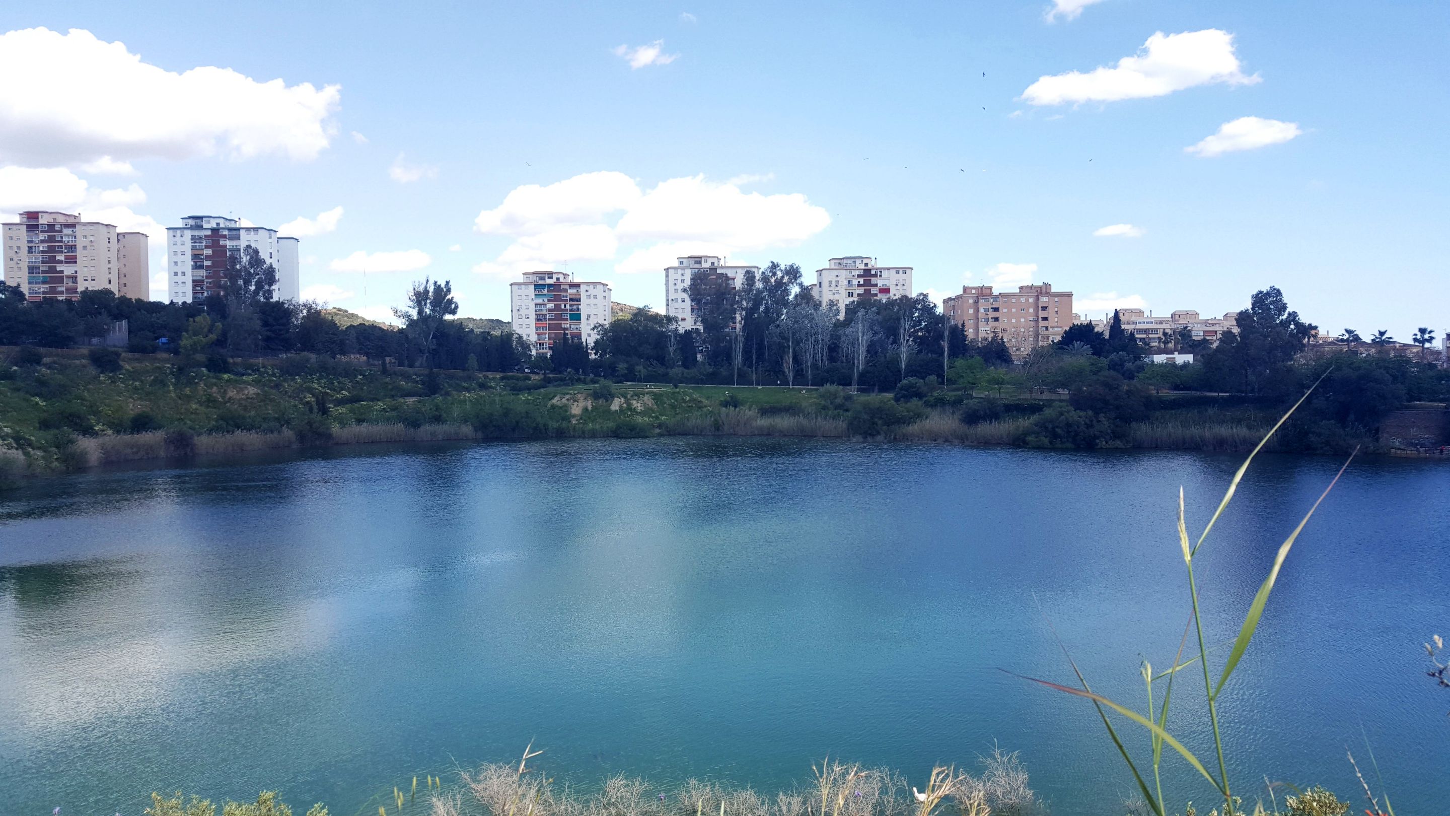 20250416_160800.jpg