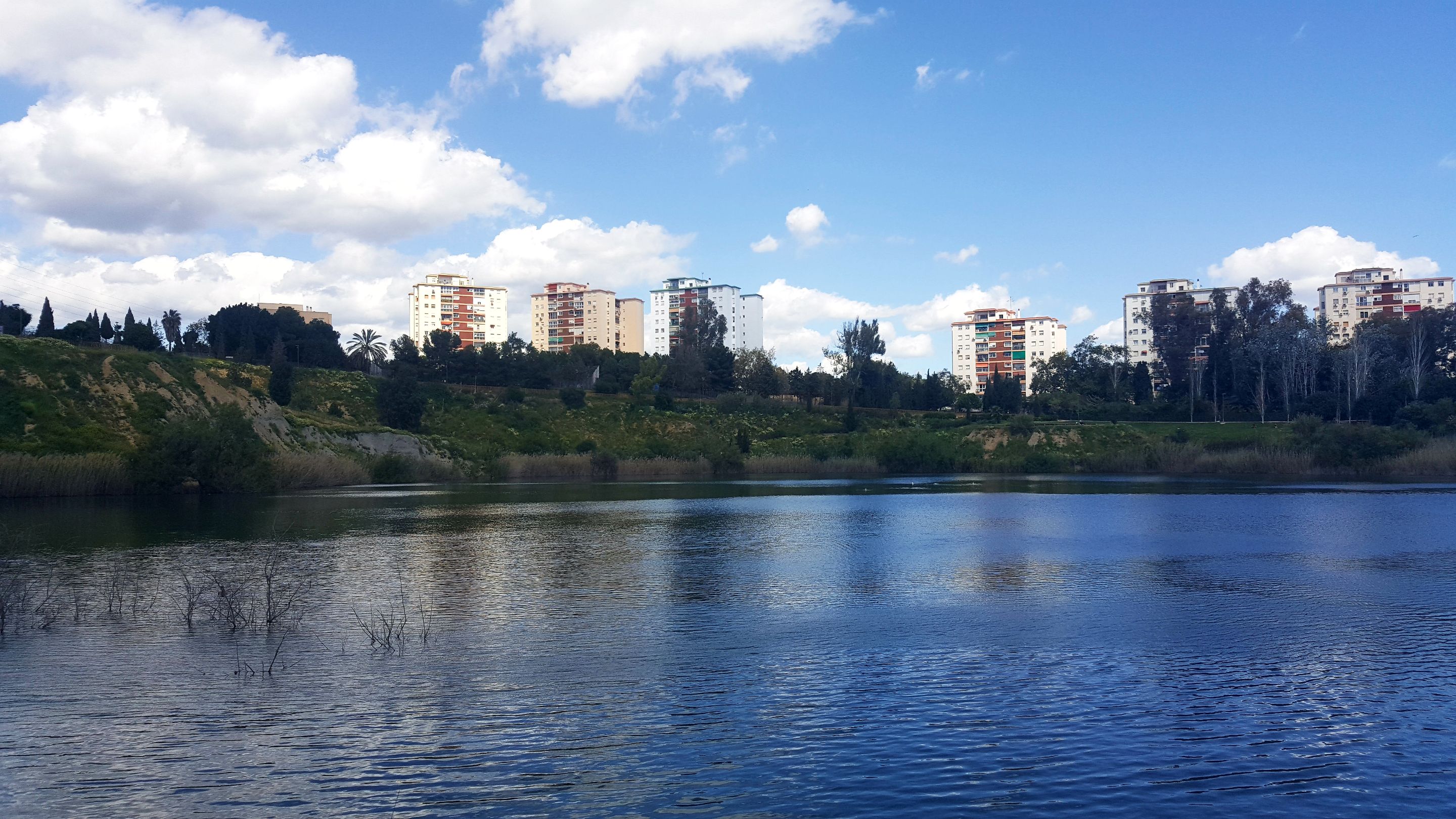 20250416_155445.jpg