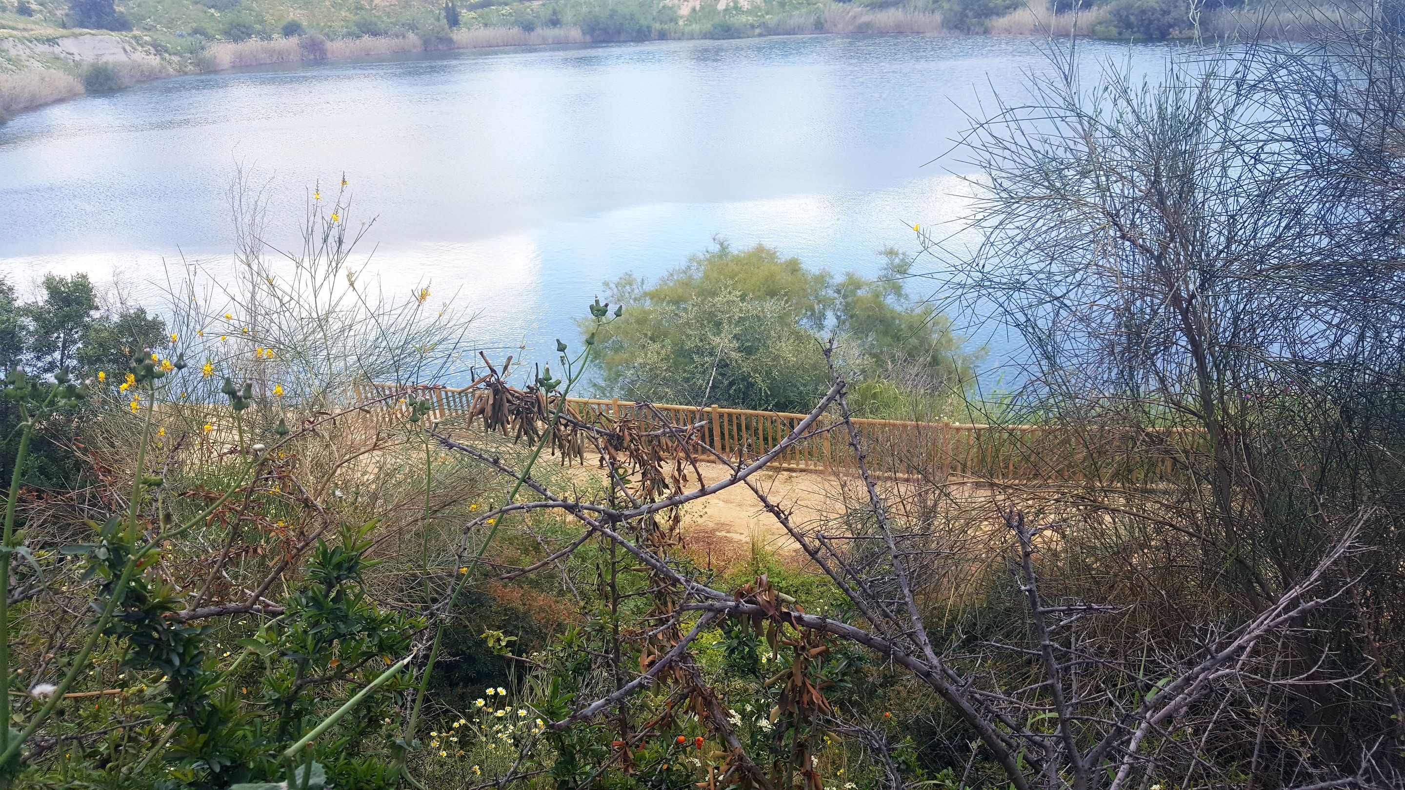 20250416_160631.jpg