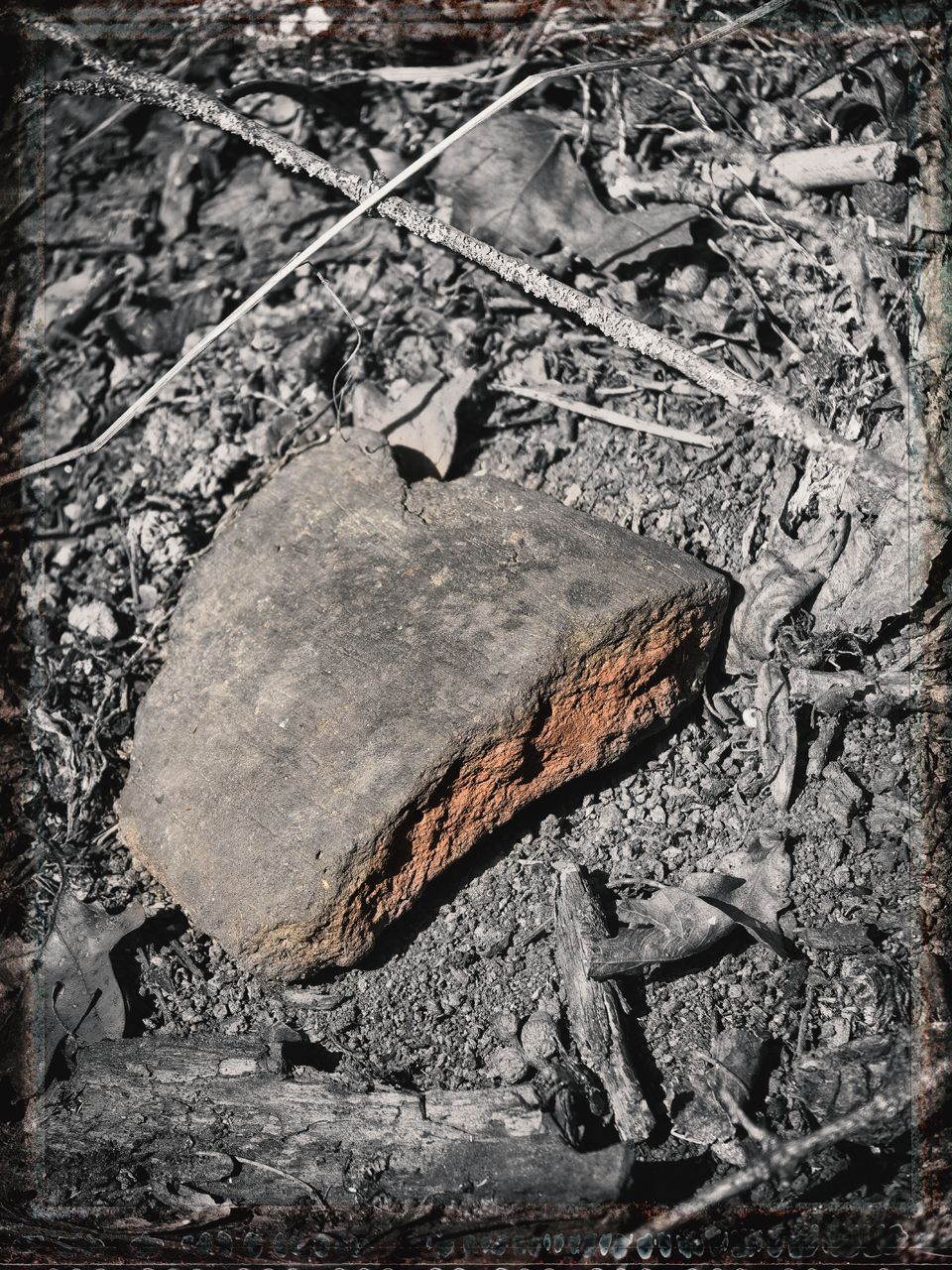 3 IMG_20250913_121525bs.jpg